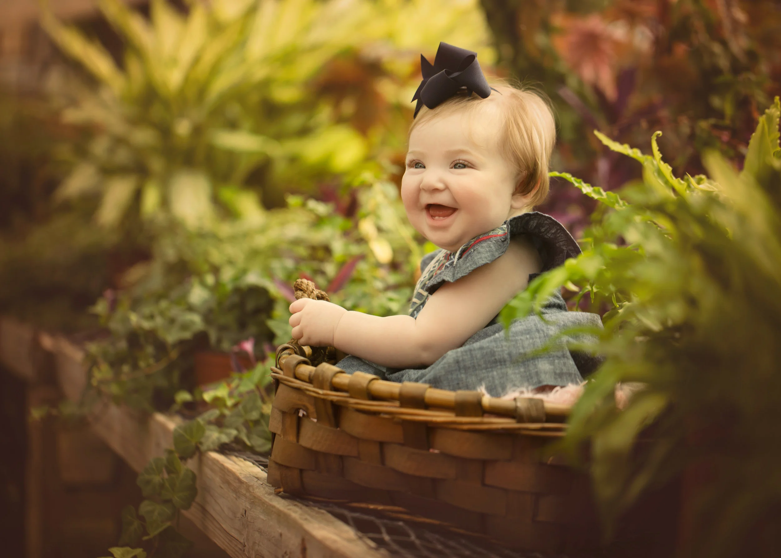Baby Korie Beth, 6 Months Session