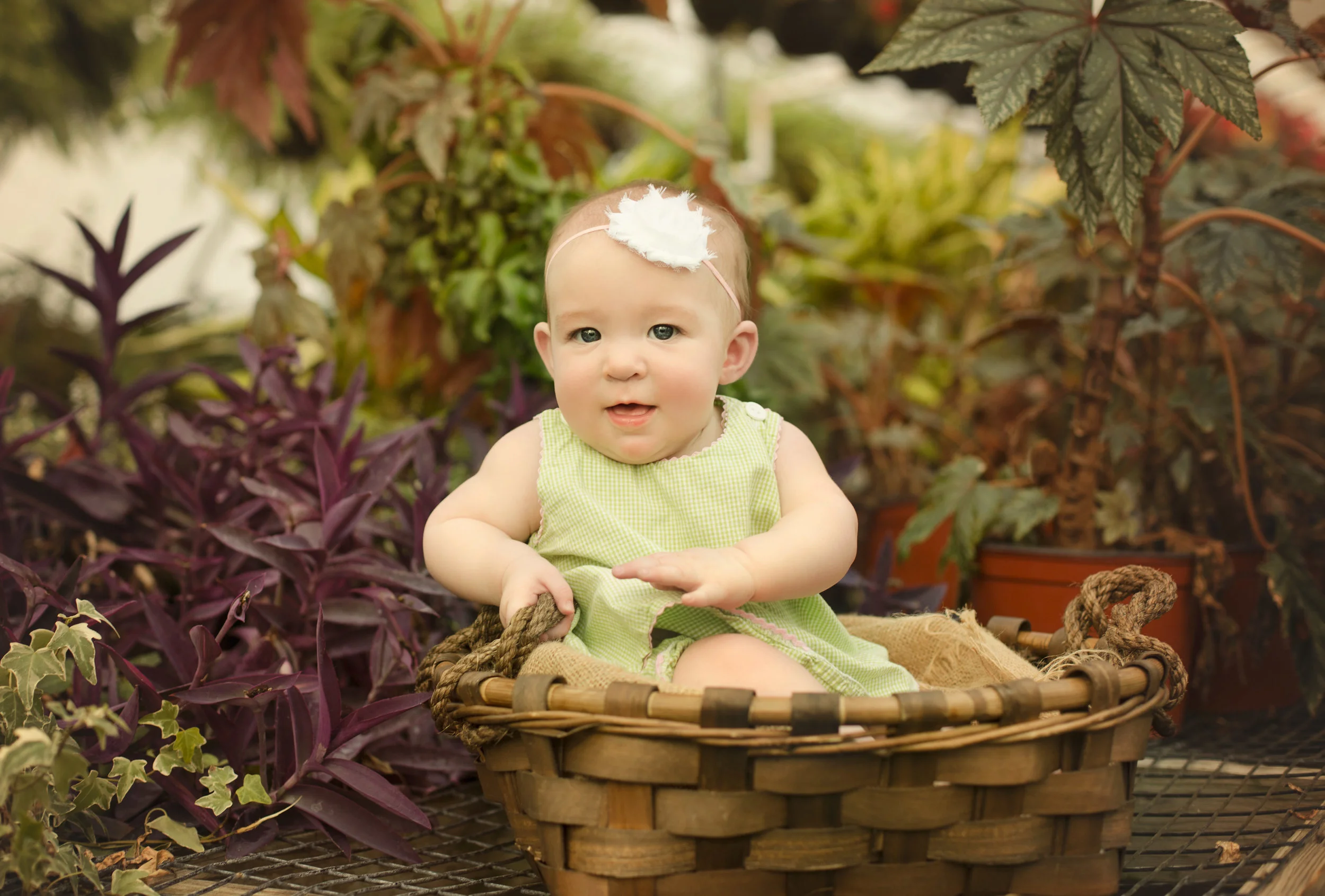 Baby Avery, 6 Month Session