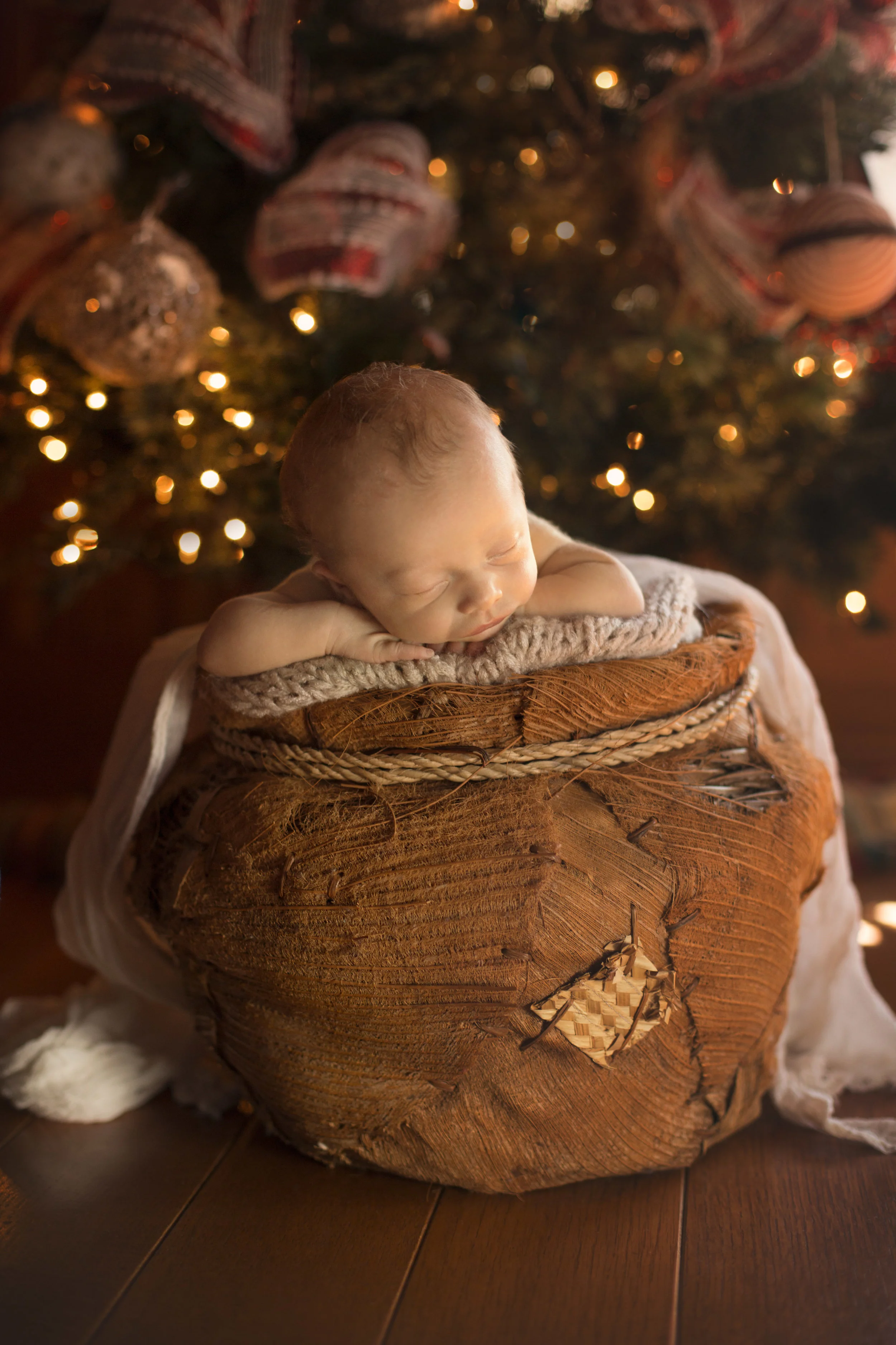 Baby Winston, Newborn Session