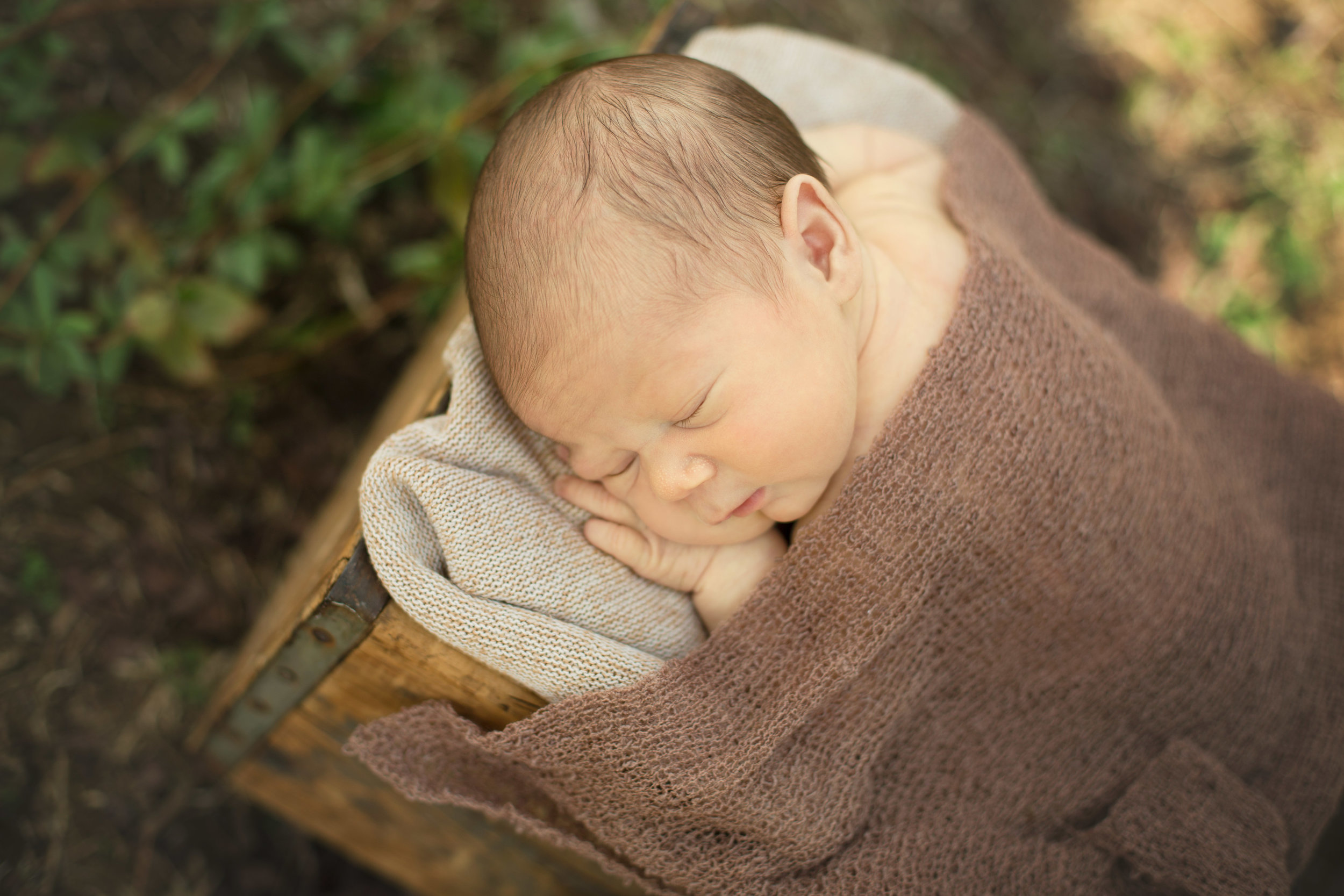 Baby Brooks, Newborn Session