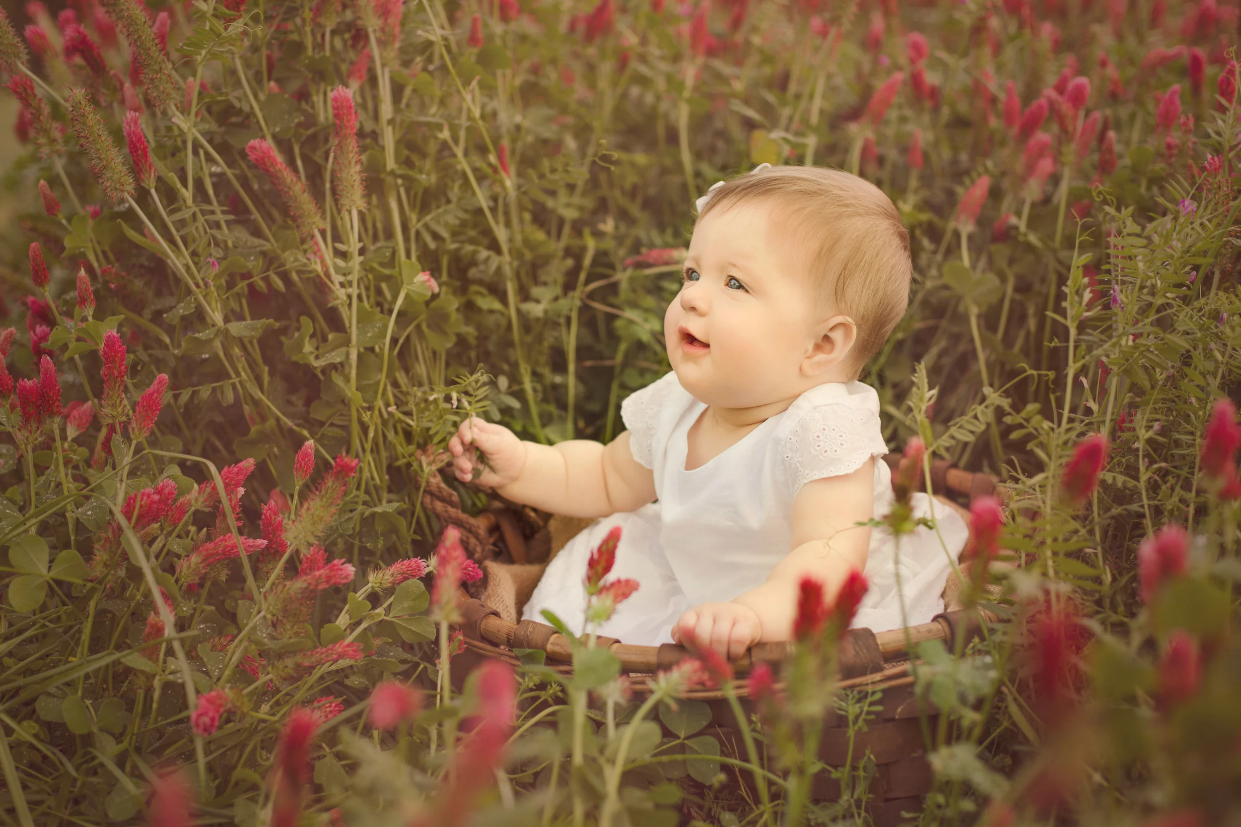 Baby Bailey, Six Month Session