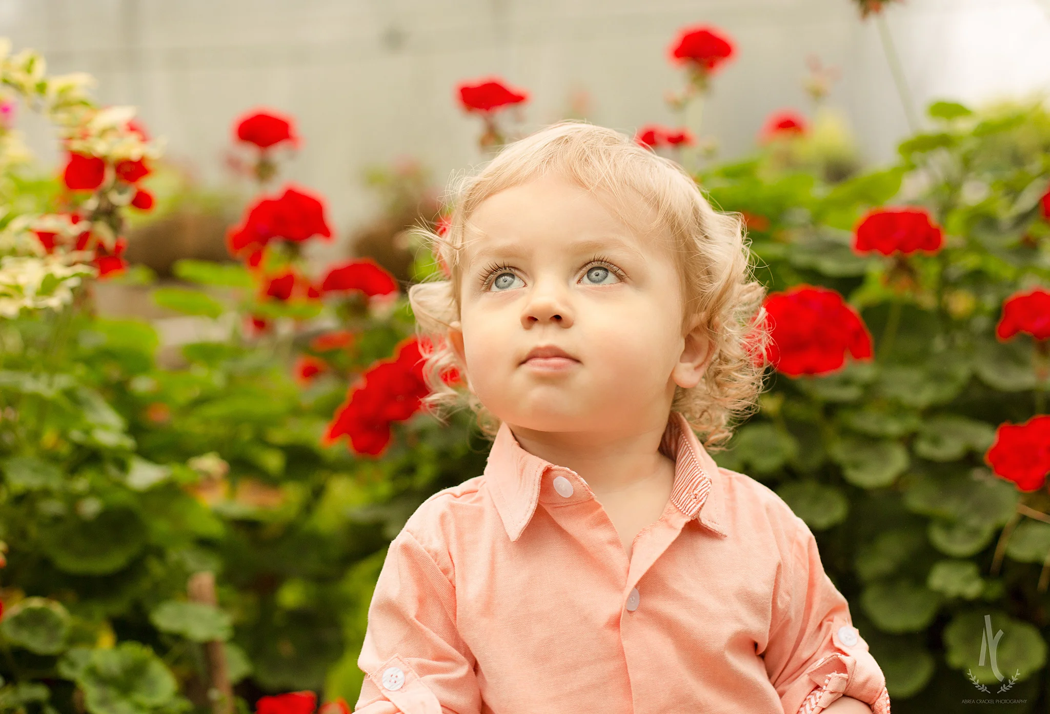 Baby Ollie, One Year Session