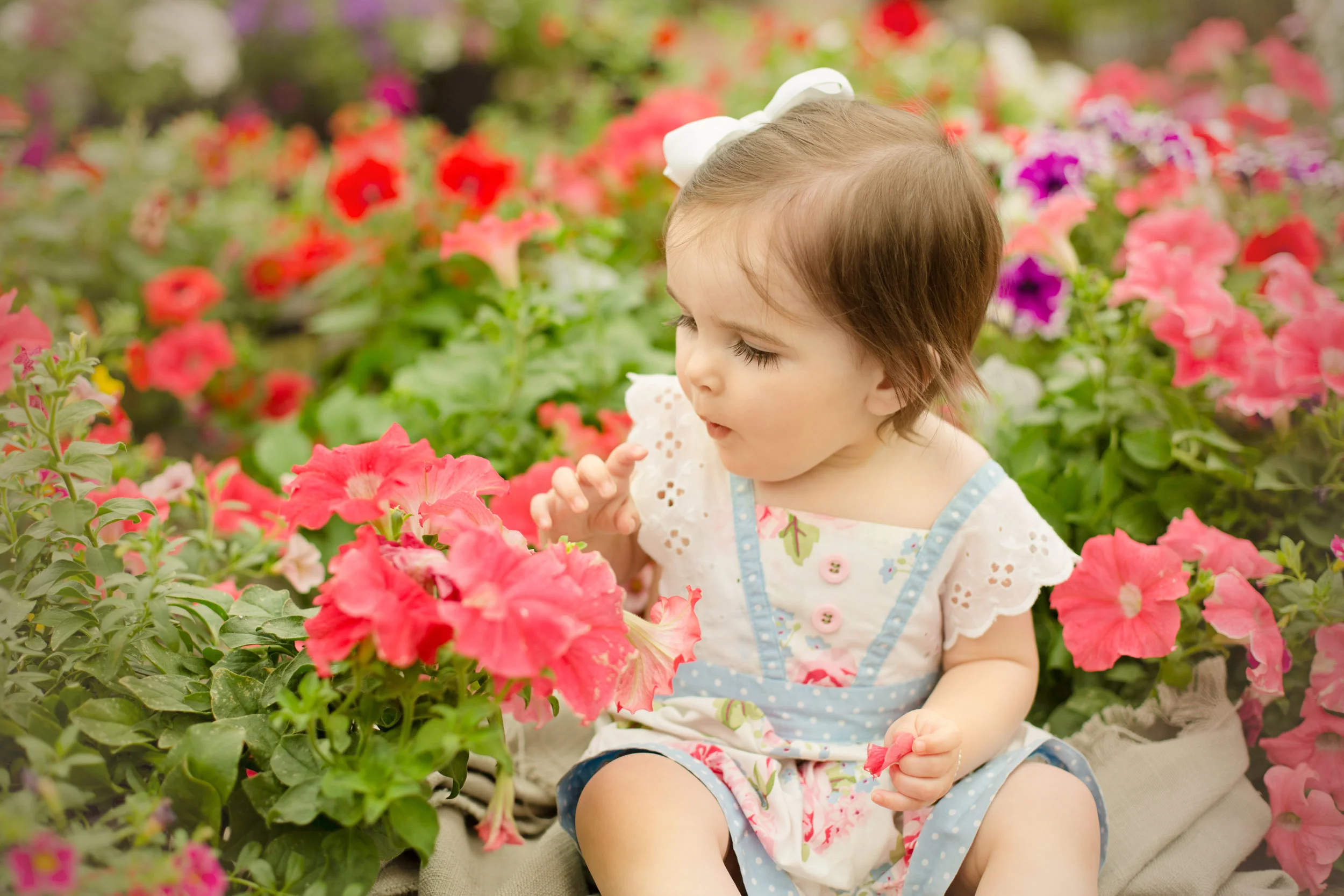 Baby Olivia, One Year Session