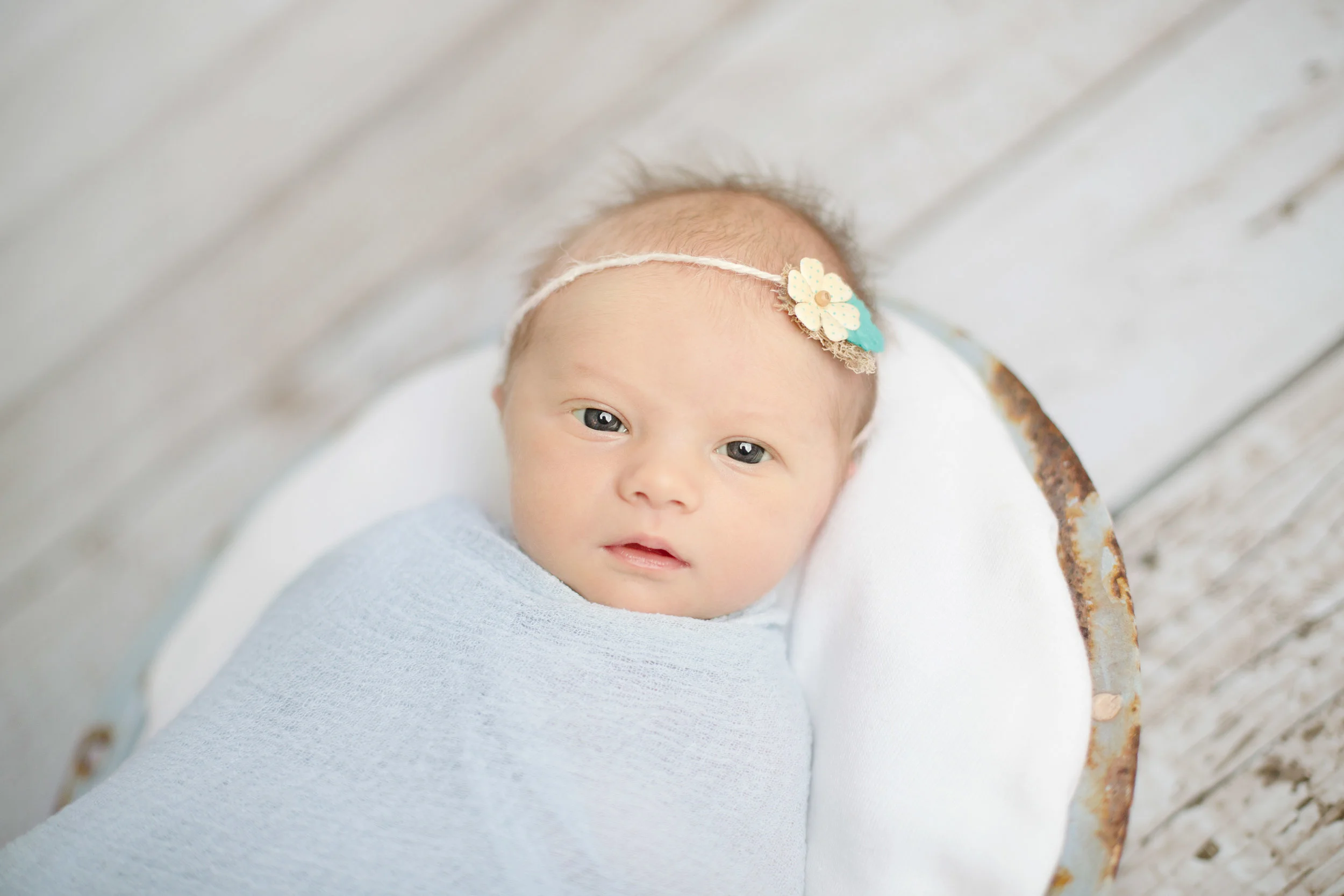 Baby Halle, Newborn Session