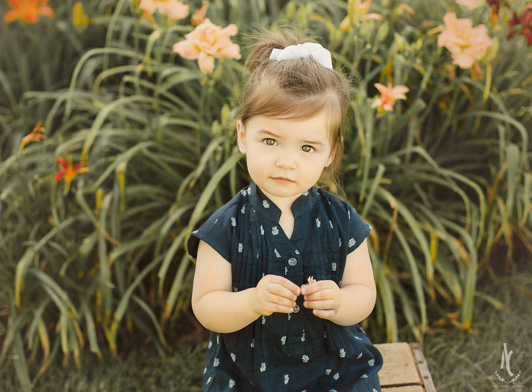 Violet, Two Year Session