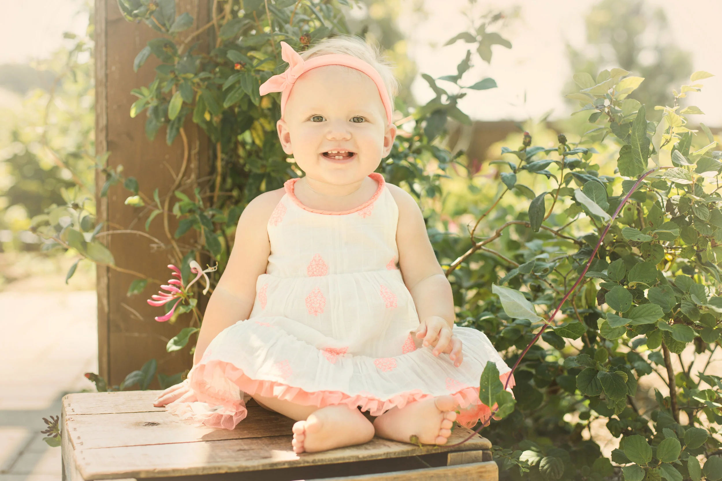 Baby Finlee Cate, One Year Session