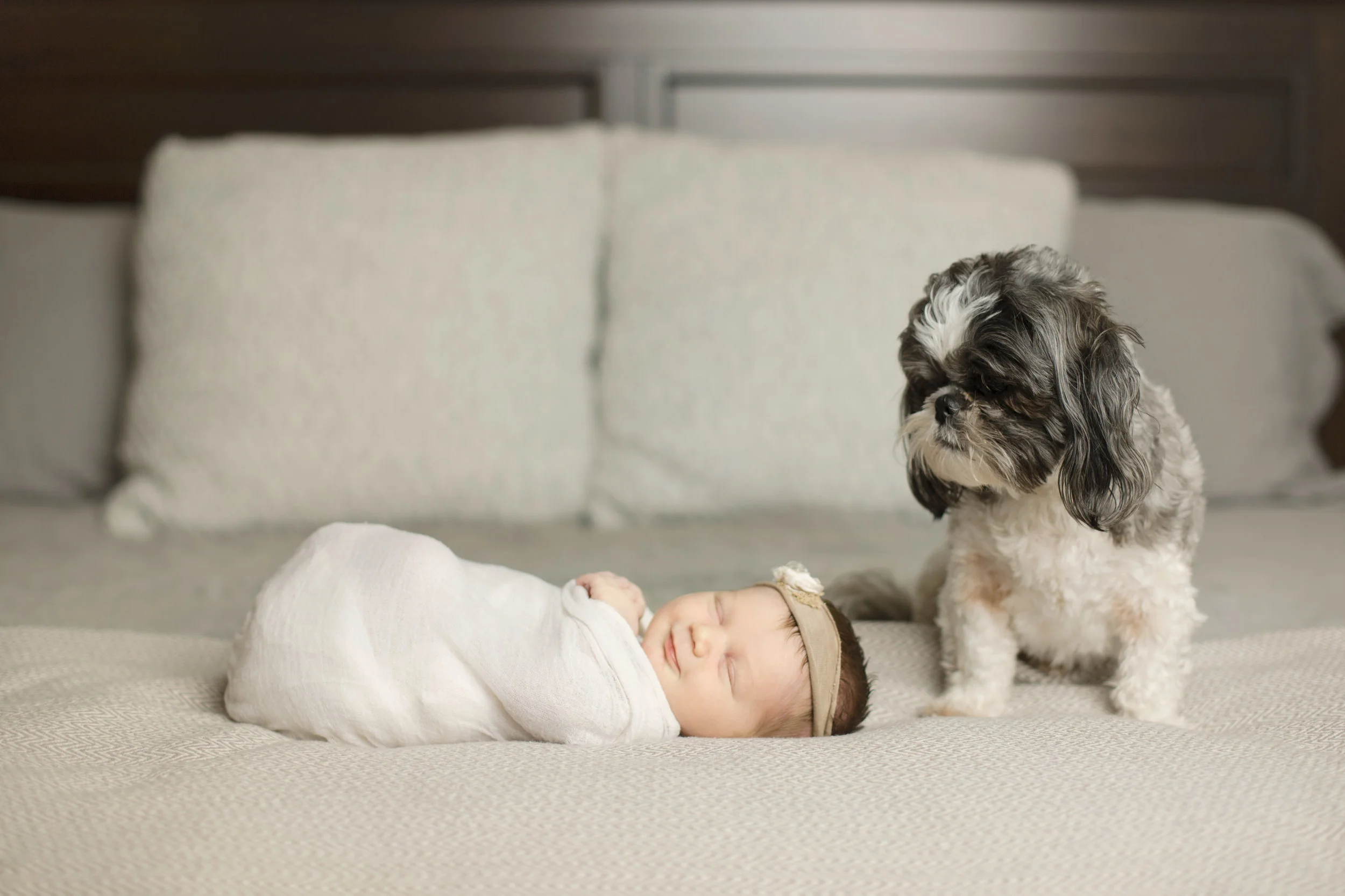 Baby Anna, Newborn Session