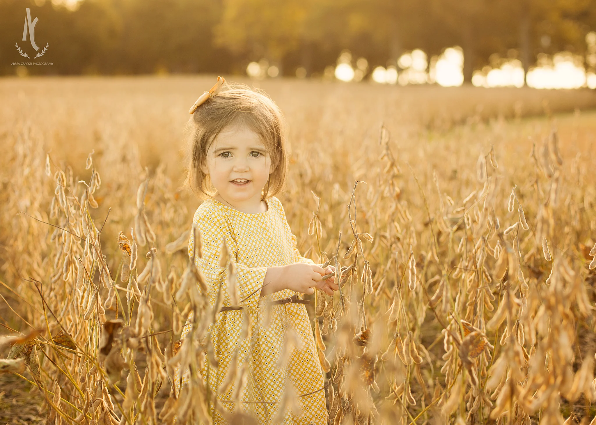 Baby Olivia, 18 Month Session 