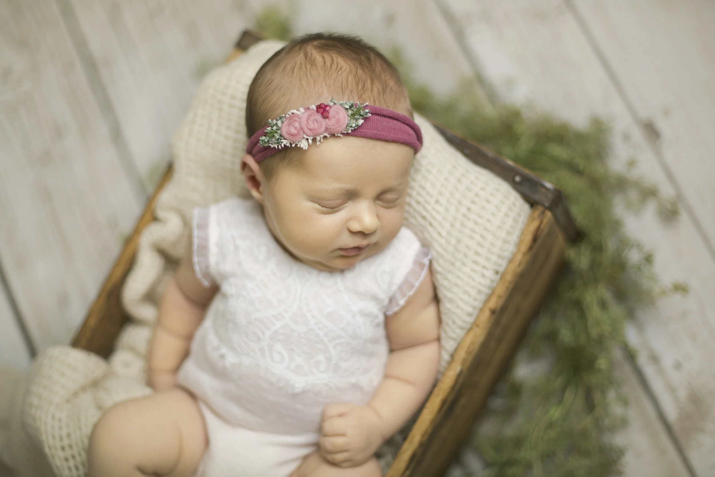 Baby Eloise, Newborn Session