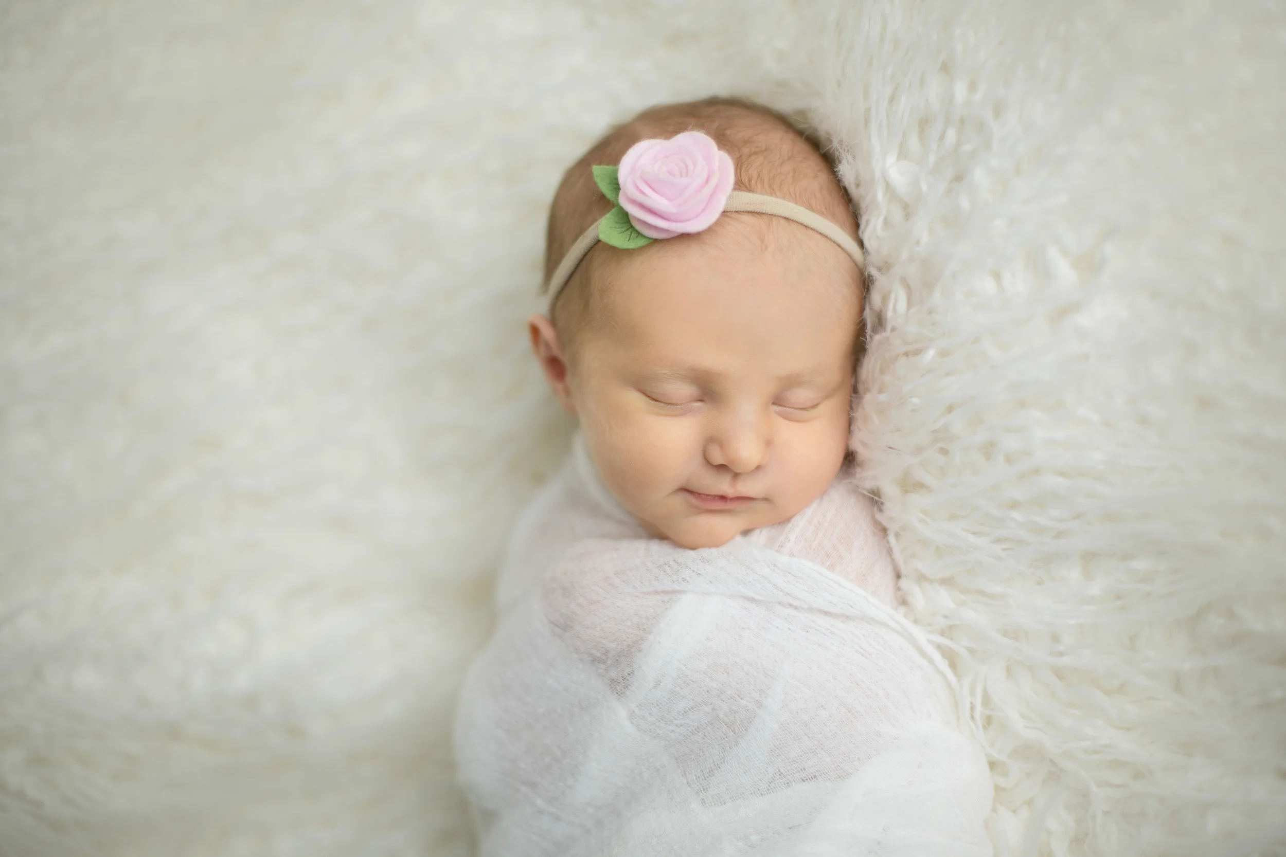 Baby Virginia, Newborn Session
