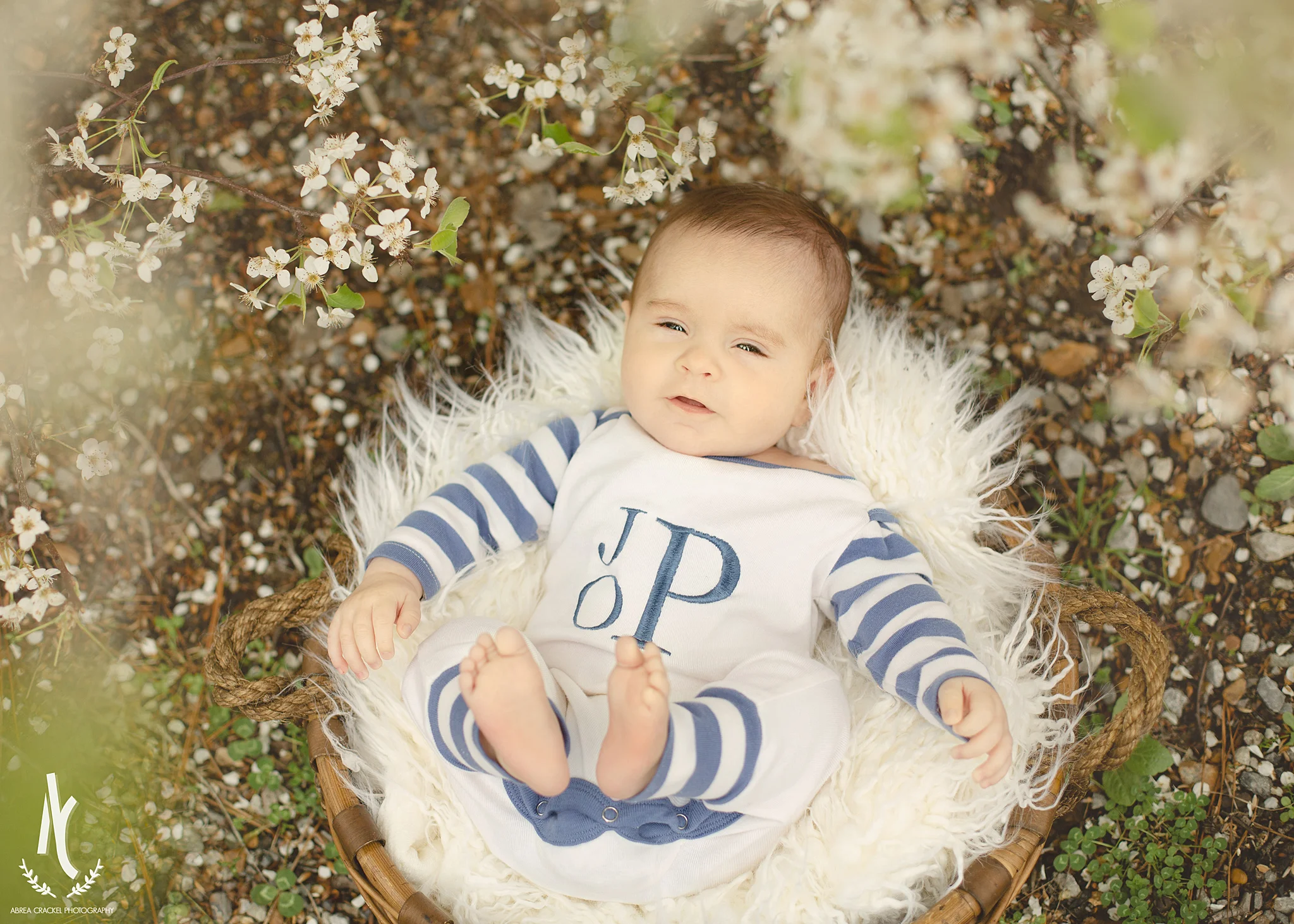 Baby James, 3 Month Session