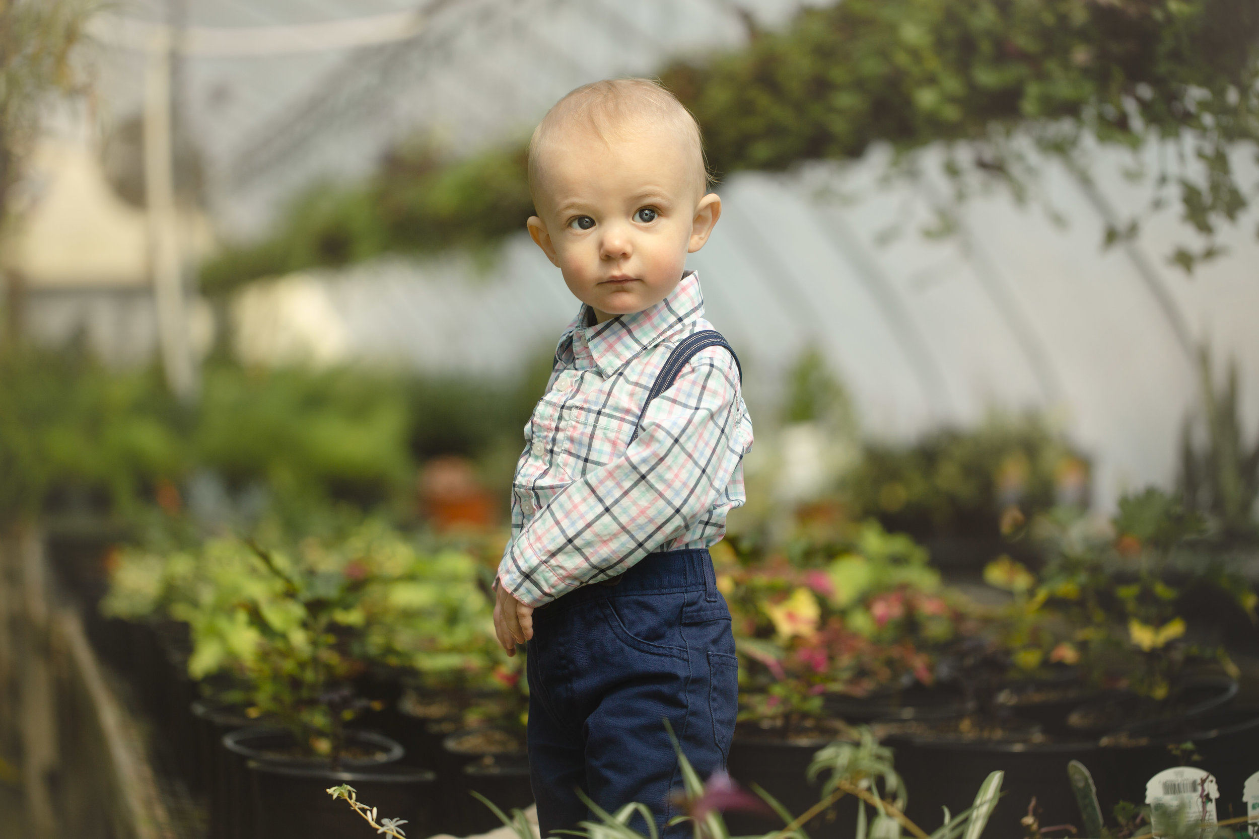 Baby Macon, One Year Session