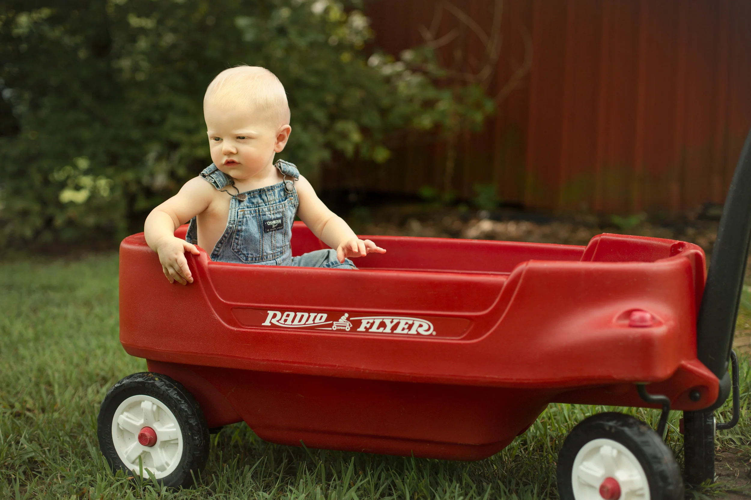 Baby Grant, Six Month Session
