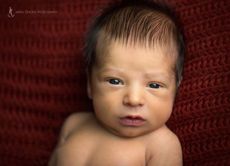  (Here’s a picture of Jack at his newborn session, just so you all can see how much he and Maggie favor!) 