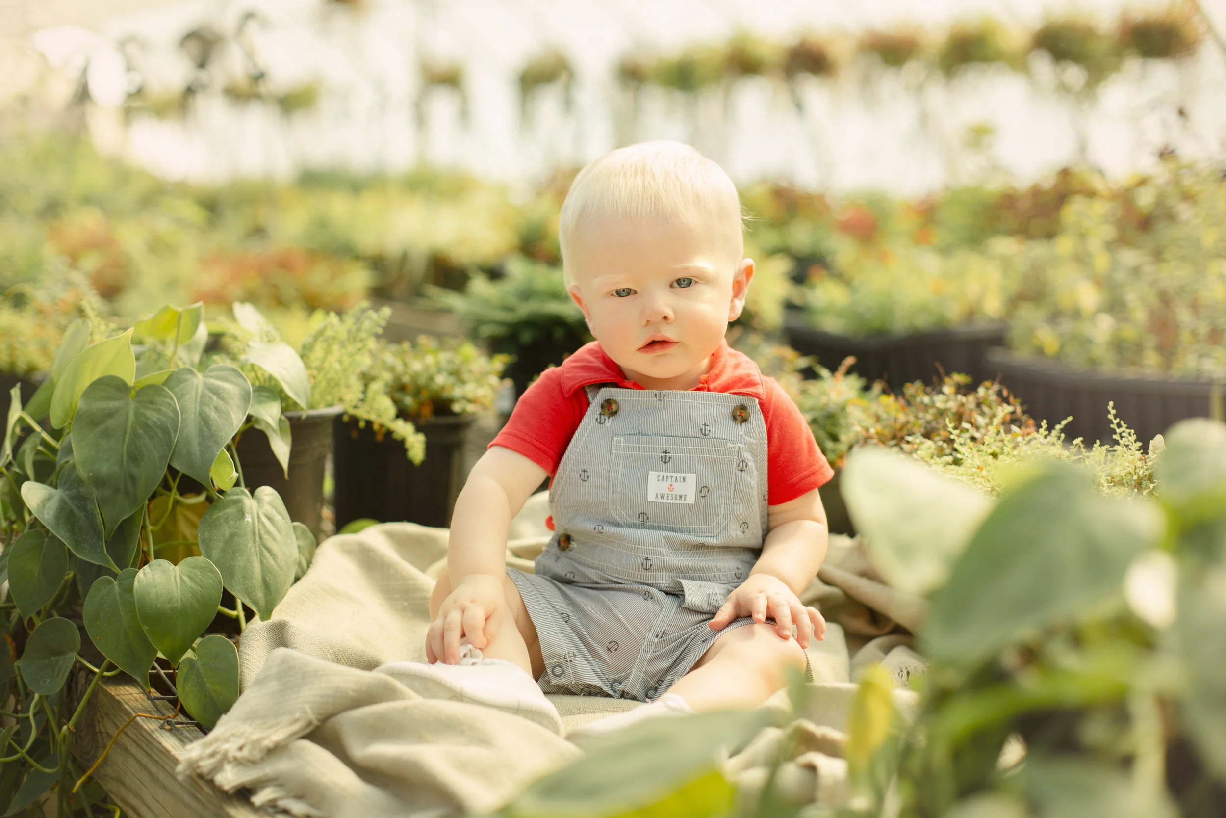 Baby Grant, Nine Month Session