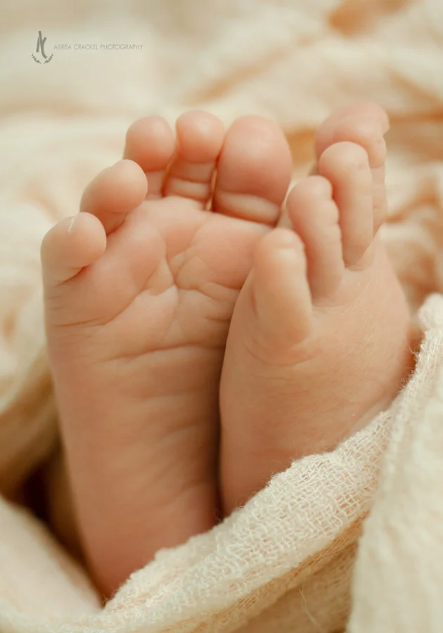 BarkerNewborn-41.jpg