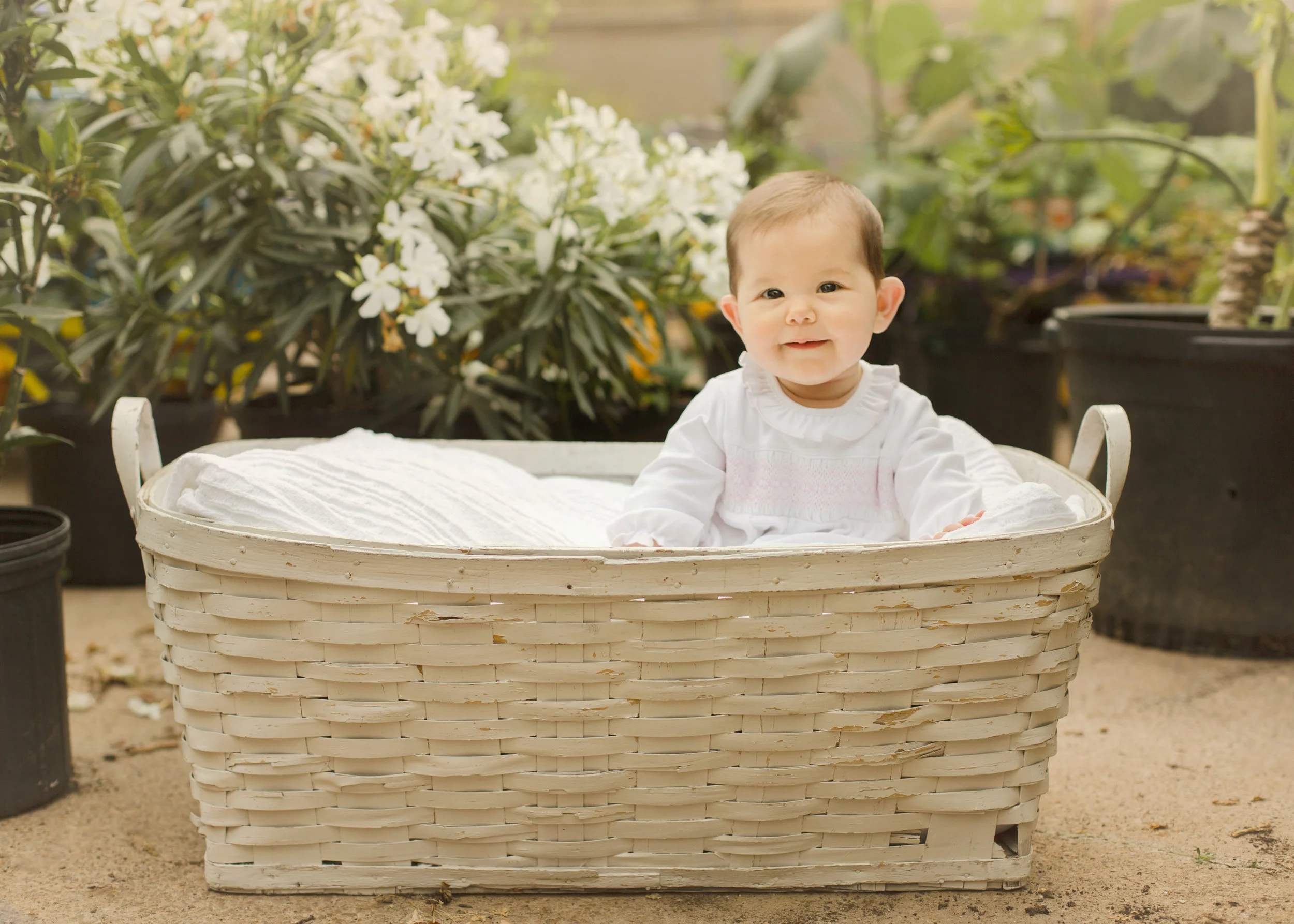 Baby Conley Jane, Six Month Session