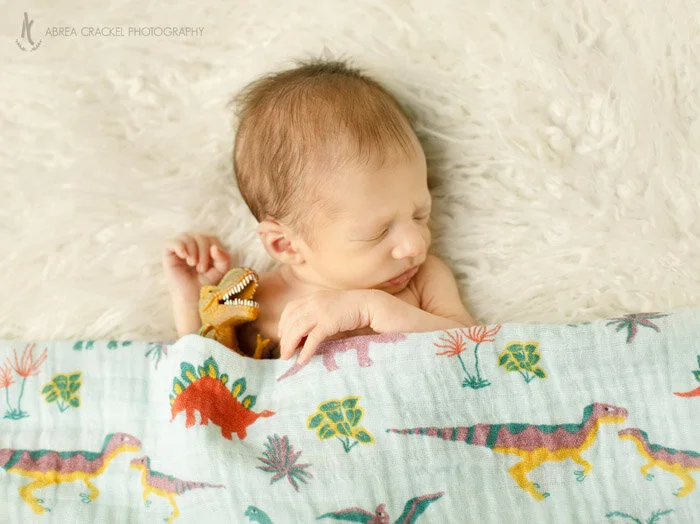  When you’re new to the world but already have a thing for dinosaurs :)  