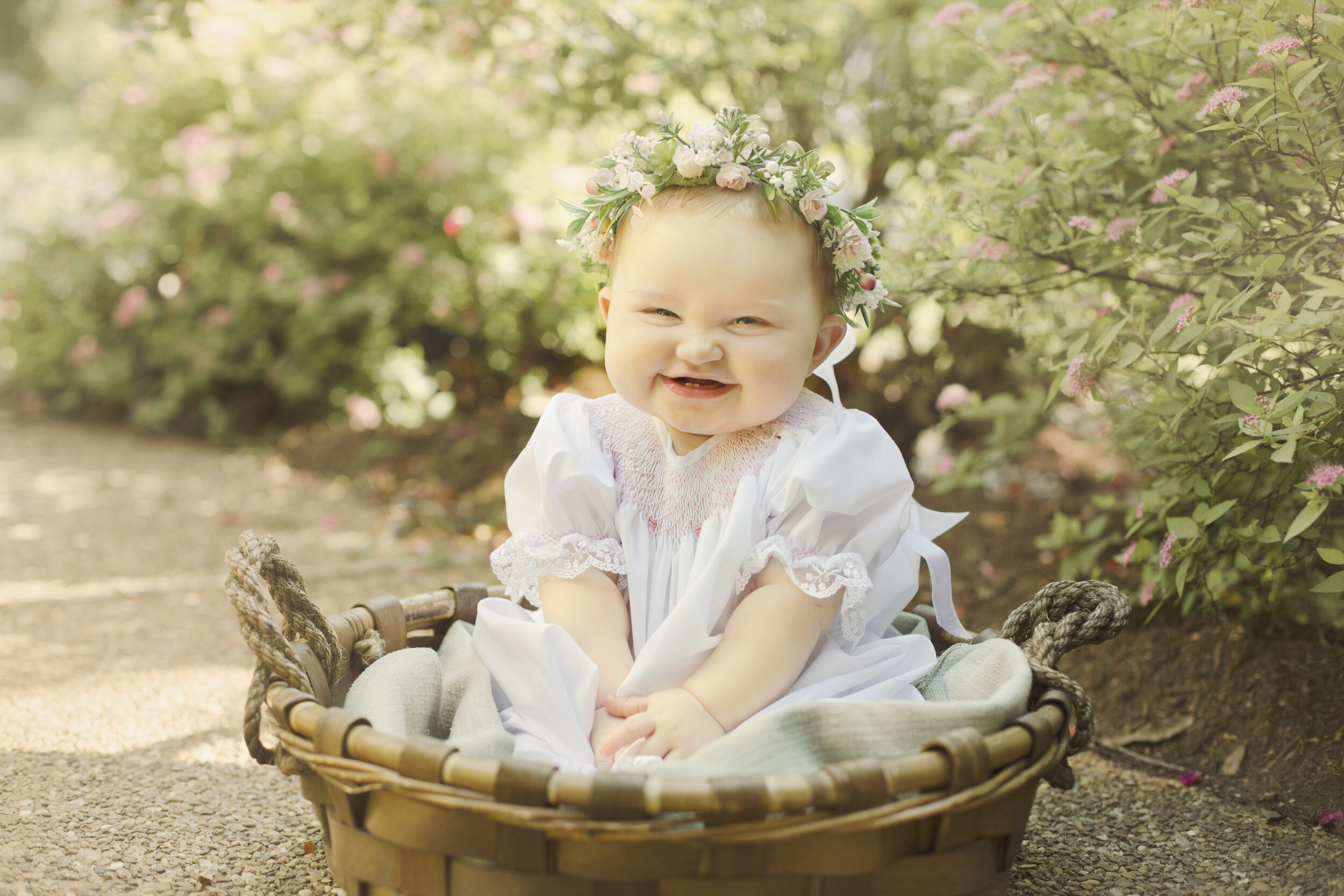Baby Adeline, Six Month Session