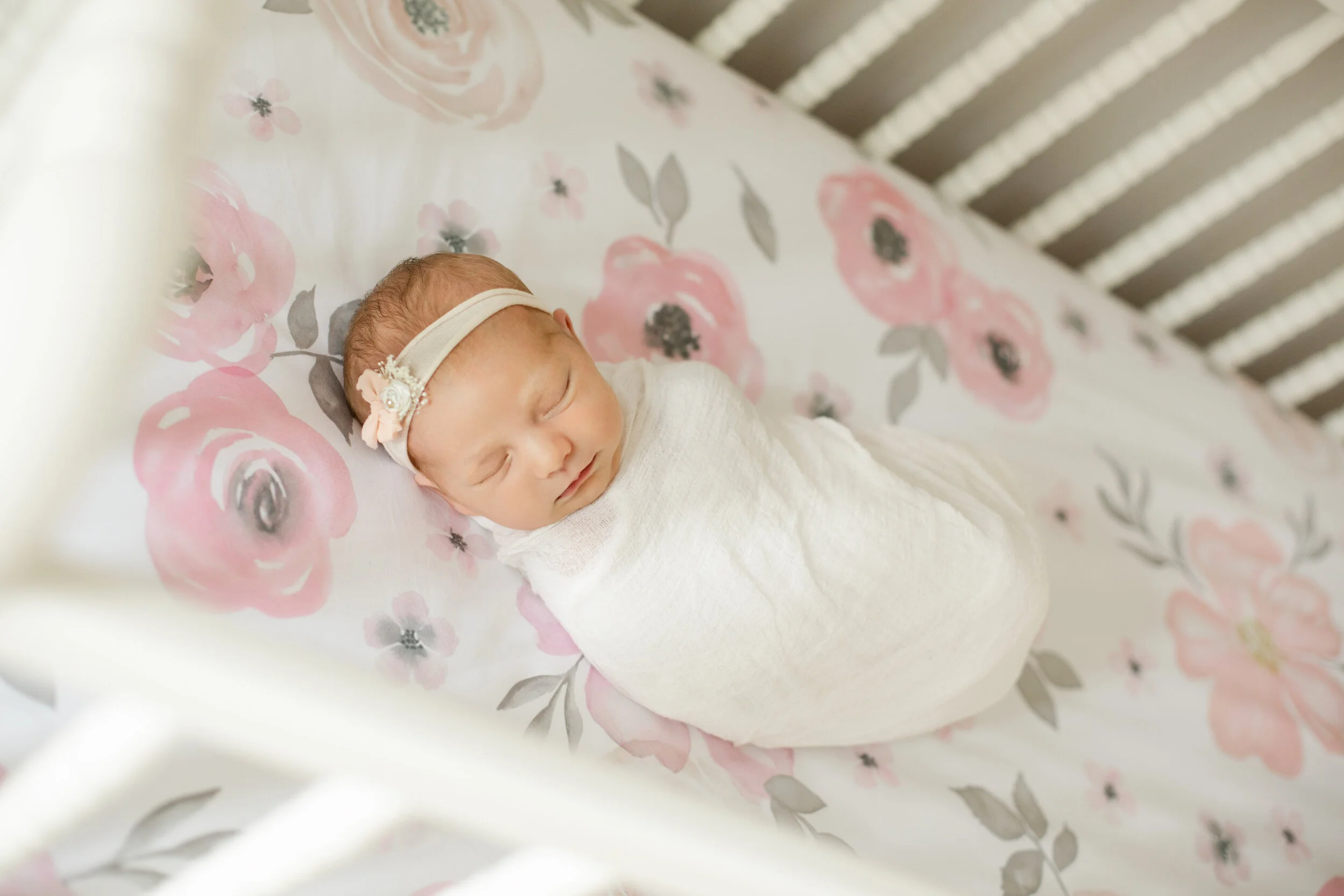 Baby Sarah, Newborn Session
