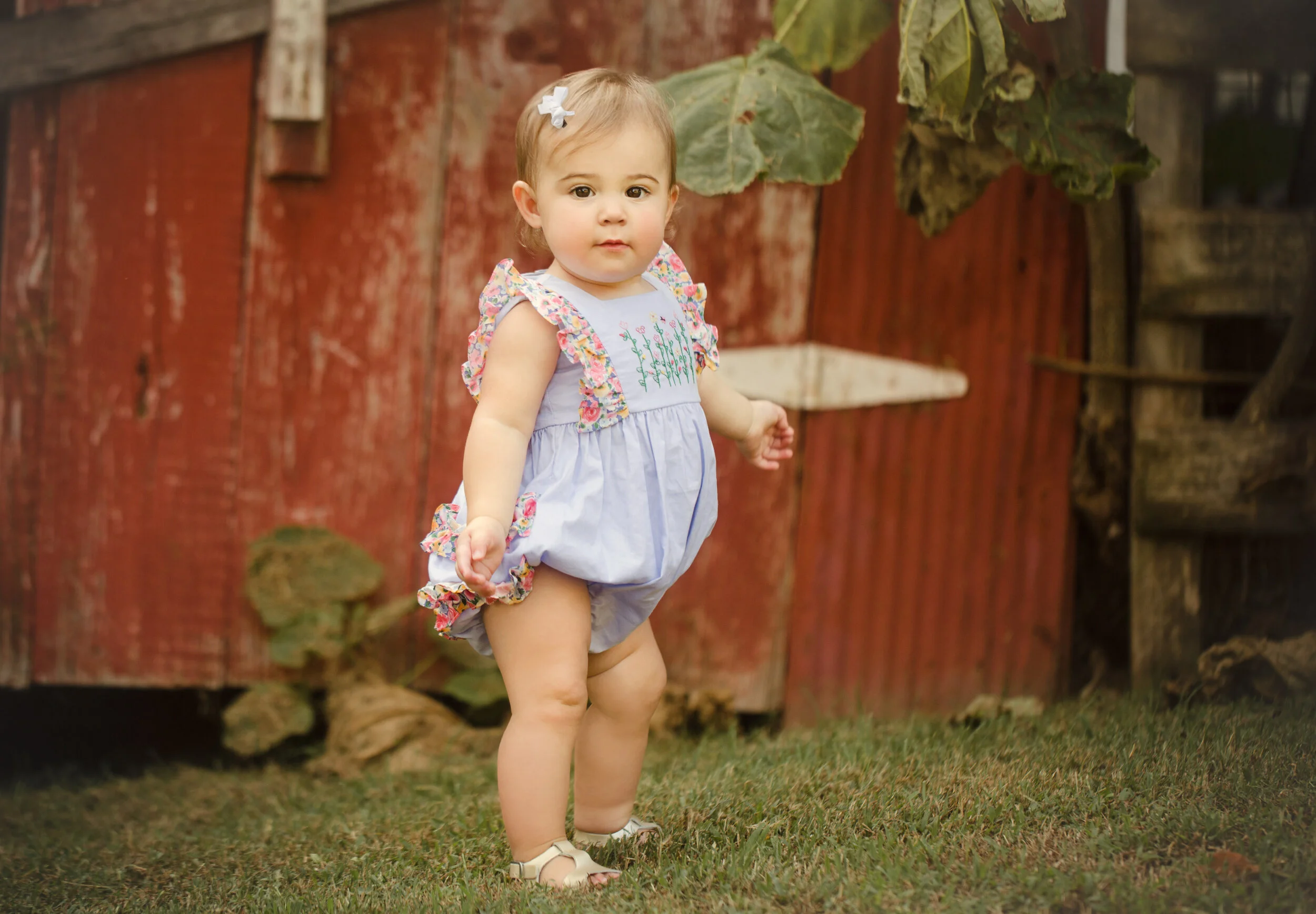 Baby Maggie, One Year Session
