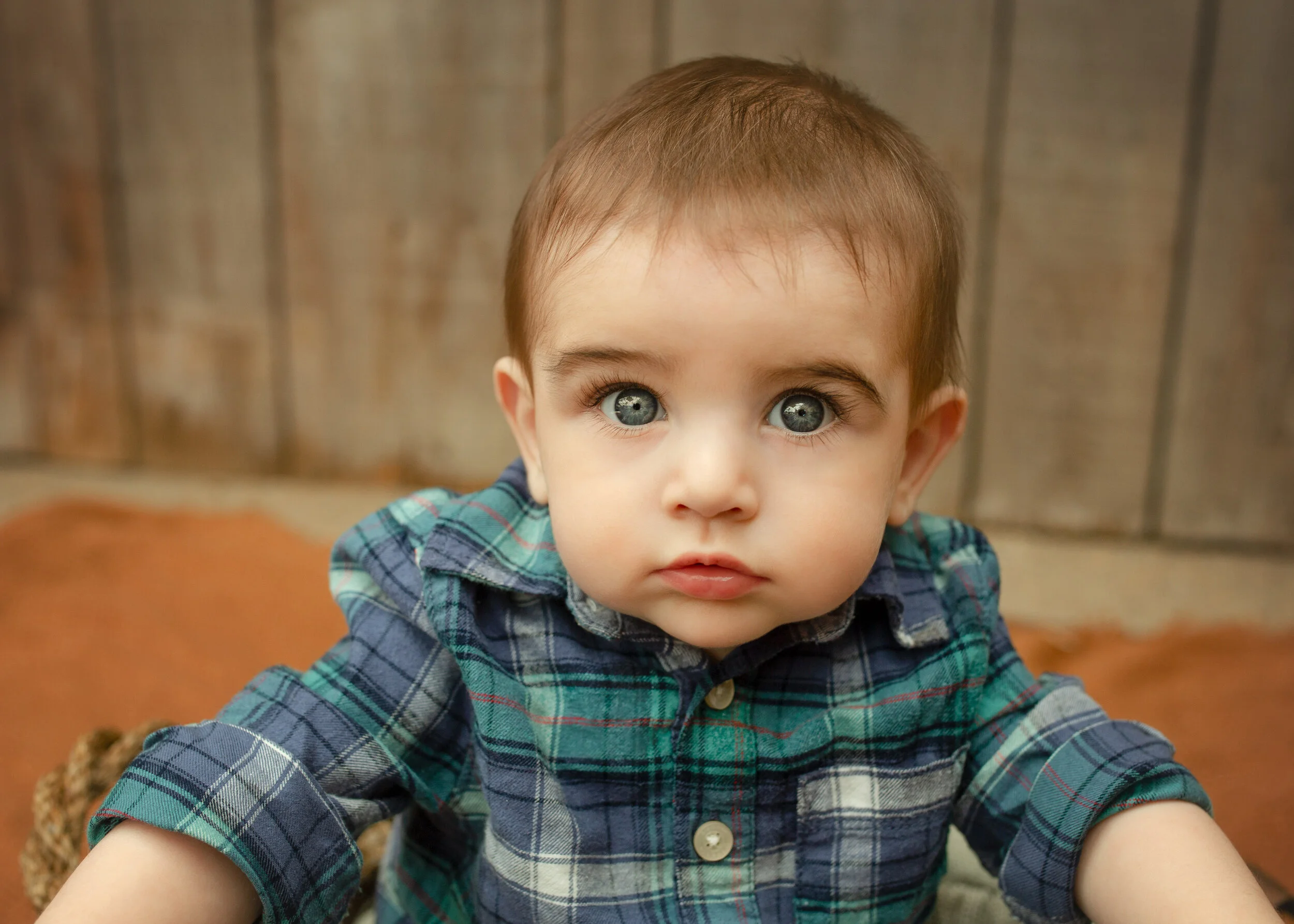 Parker, Six Month Session