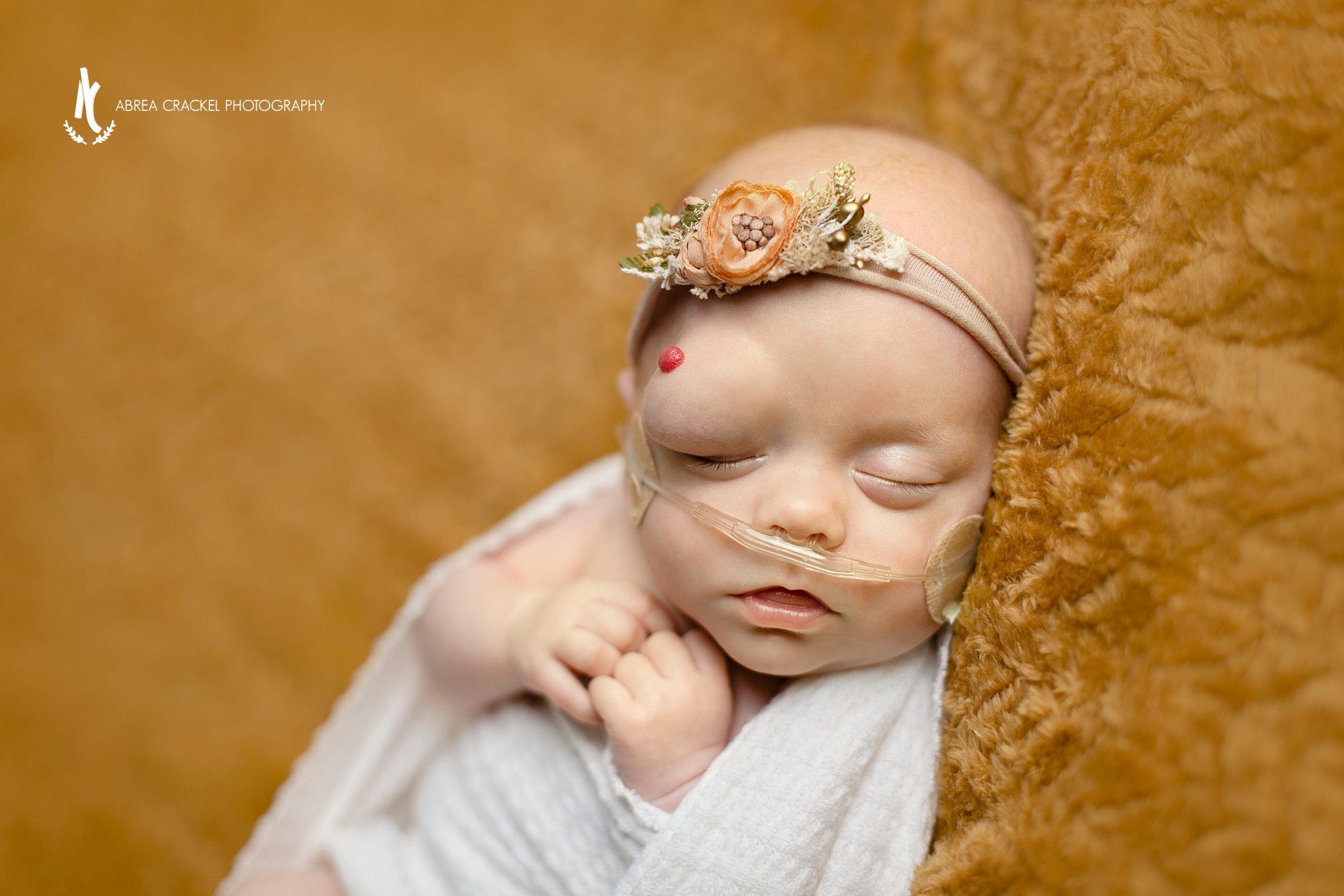 Abrea_Crackel_Family_Newborn_Photographer-b_42.jpg