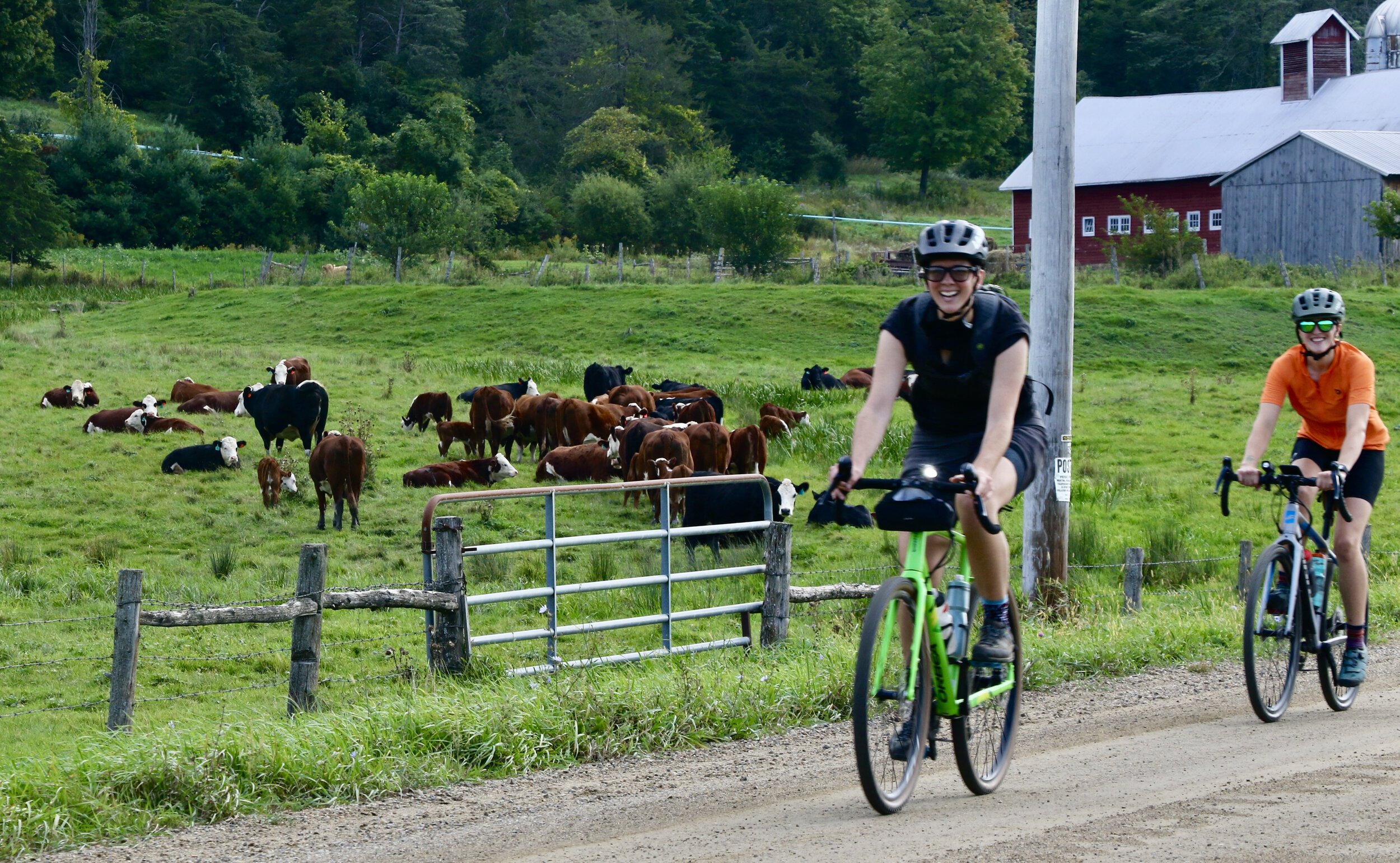 2021 TDF Smiling and Cows.jpeg