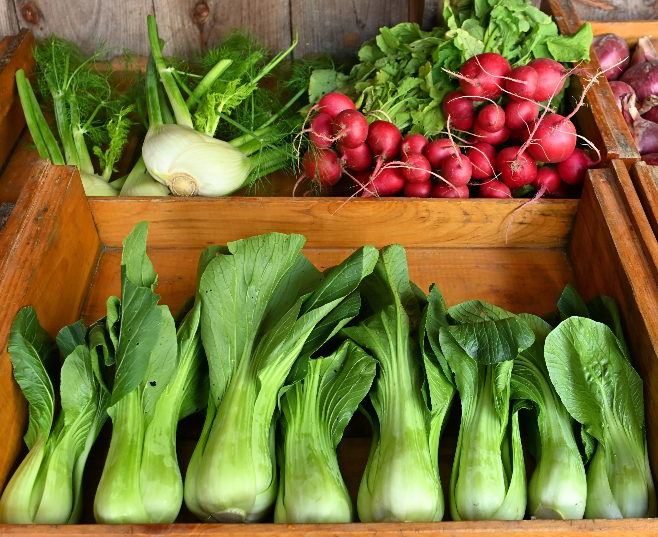 120 VEGGIES.jpg