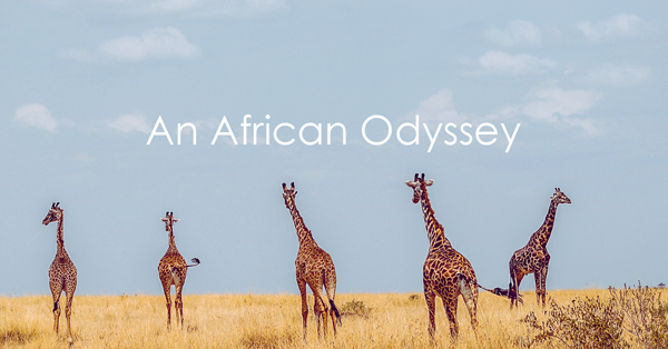 An African Odyssey.jpg