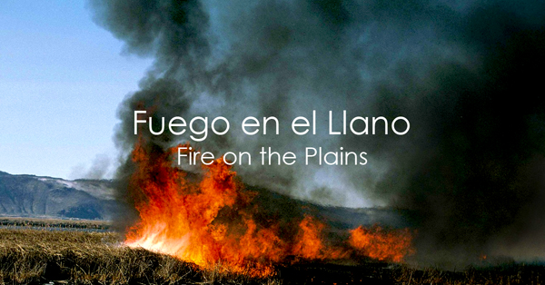 Fuego en el Llano.jpg