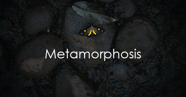 Metamorphosis.jpg
