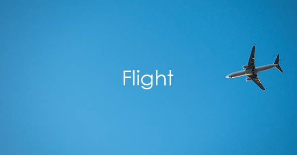 Flight.jpg