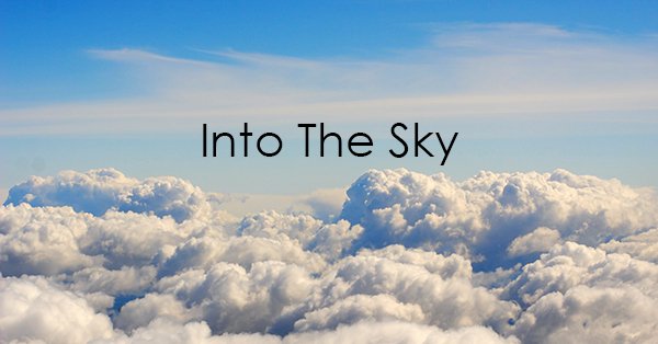 into the sky.jpg