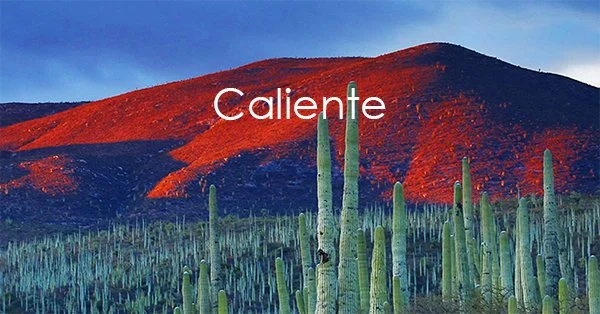 caliente.jpg
