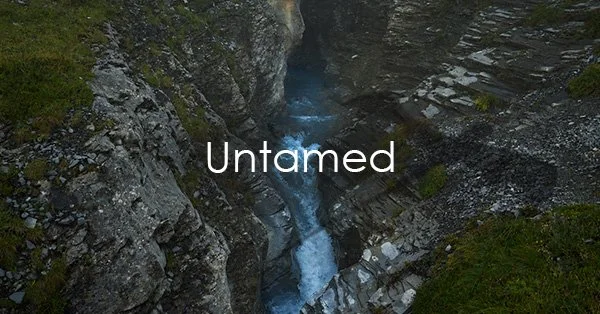 untamed.jpg