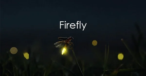 firefly.jpg