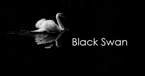 heve Swan Grace BL black The Black Swan: The Impact of the Highly  