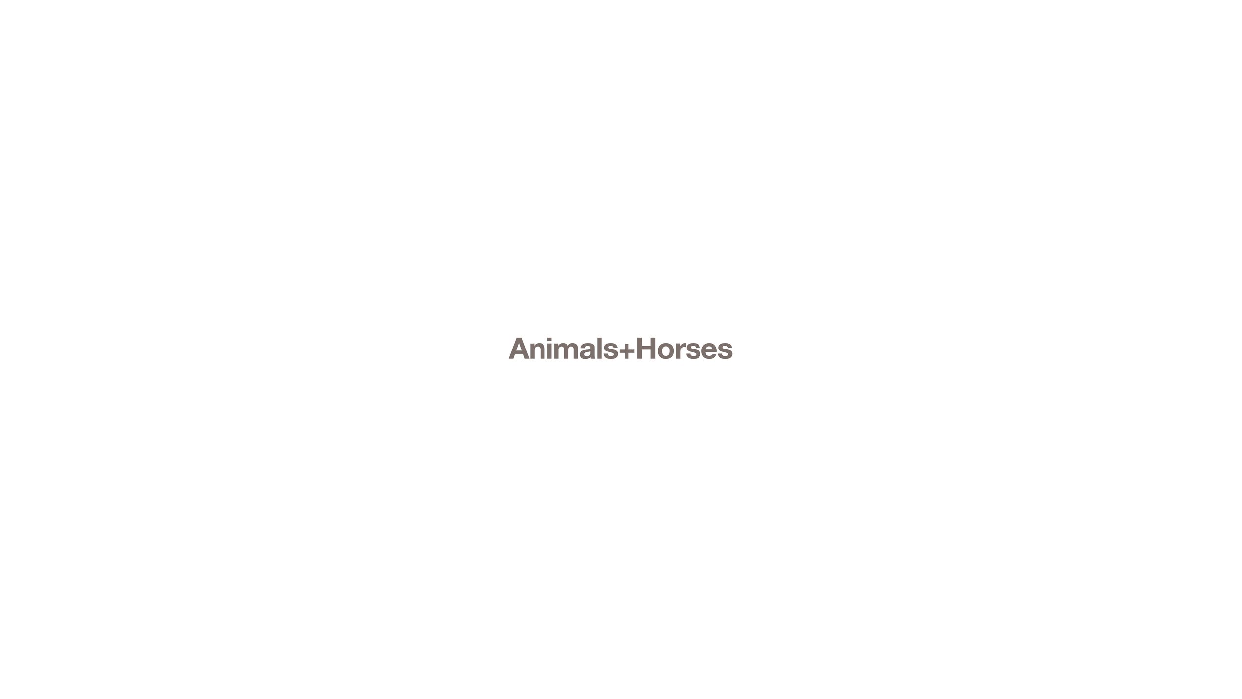 Animals+Horses.jpg