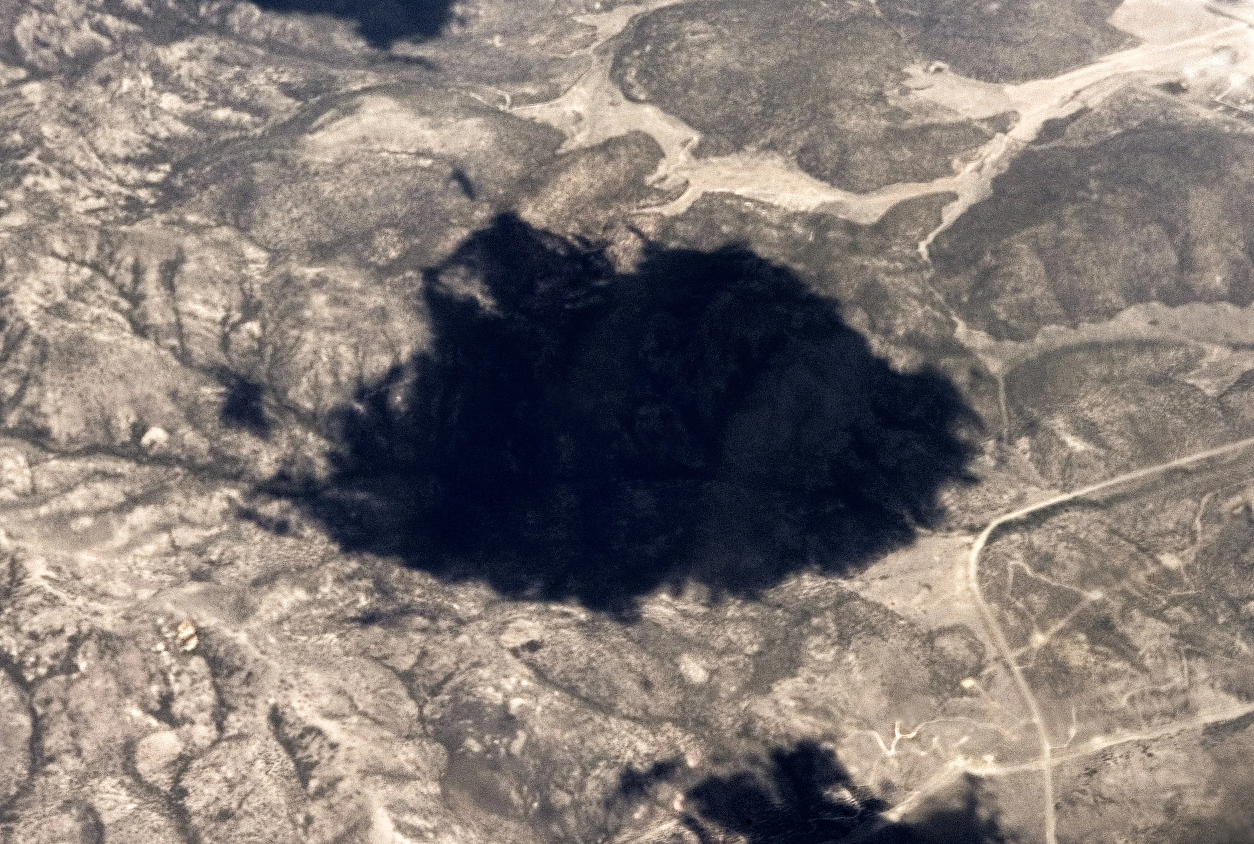 PROPHET'S PREY - Dir. Amy Berg