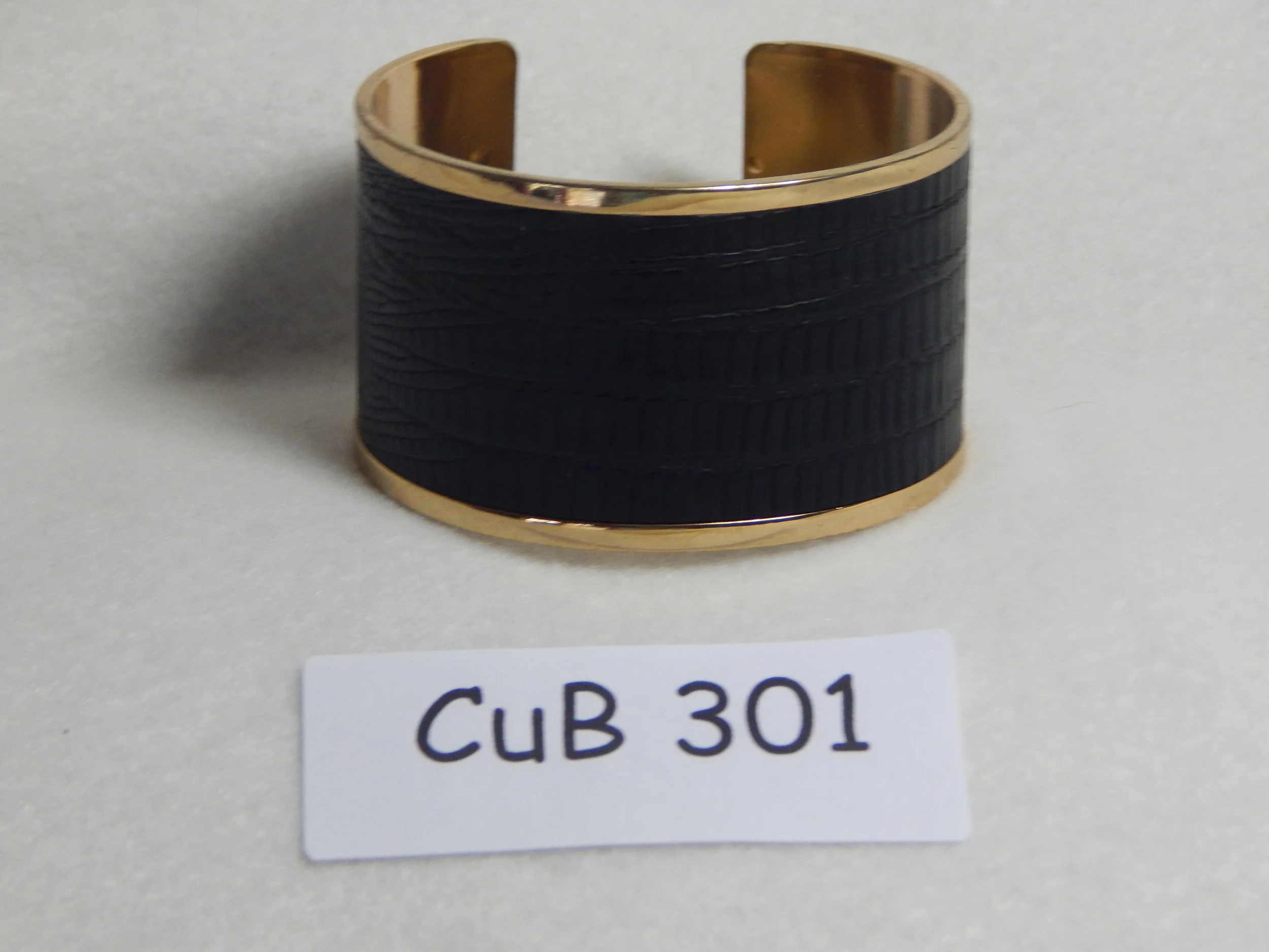 CUB301.JPG
