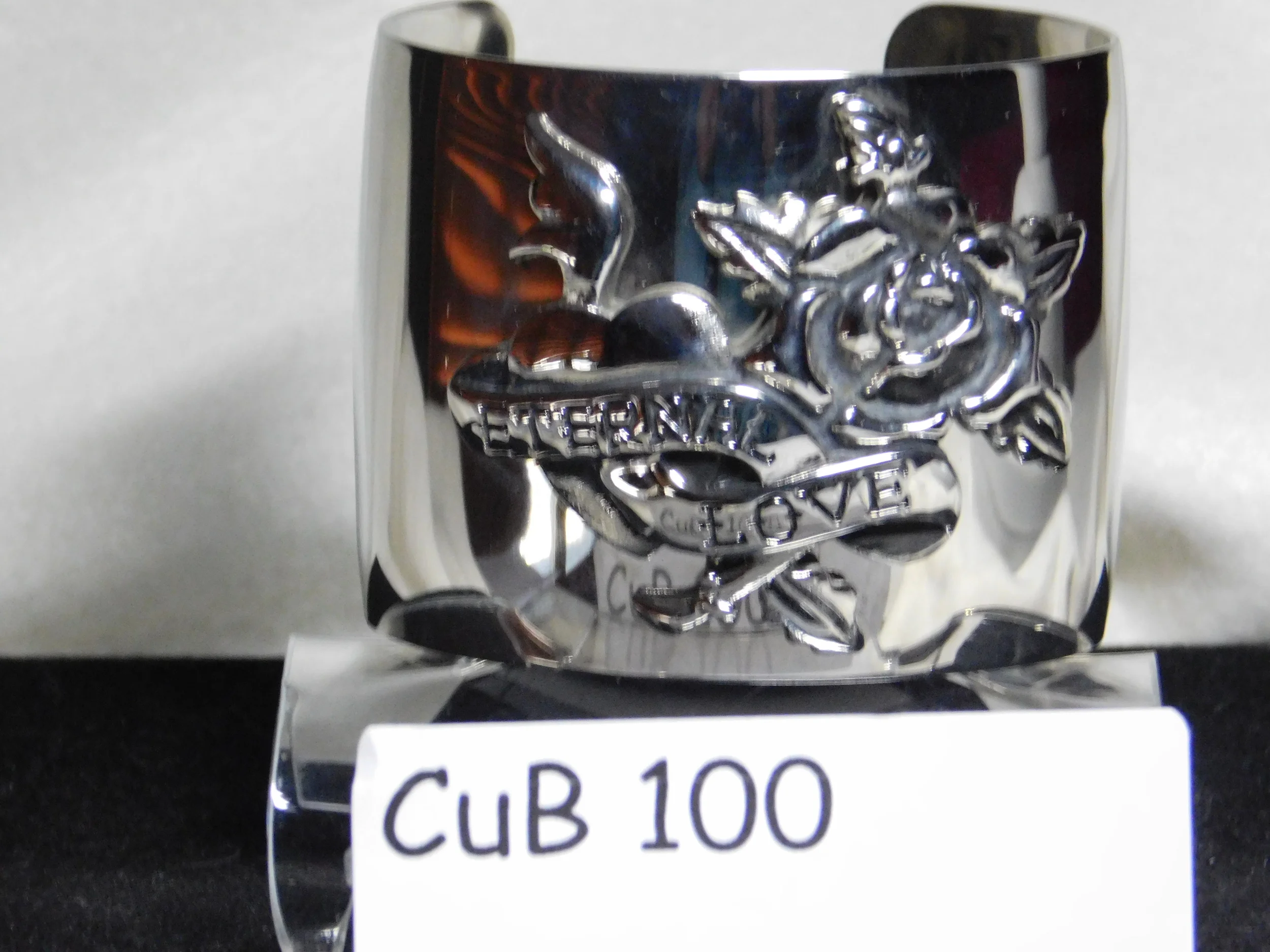 CUB100.JPG