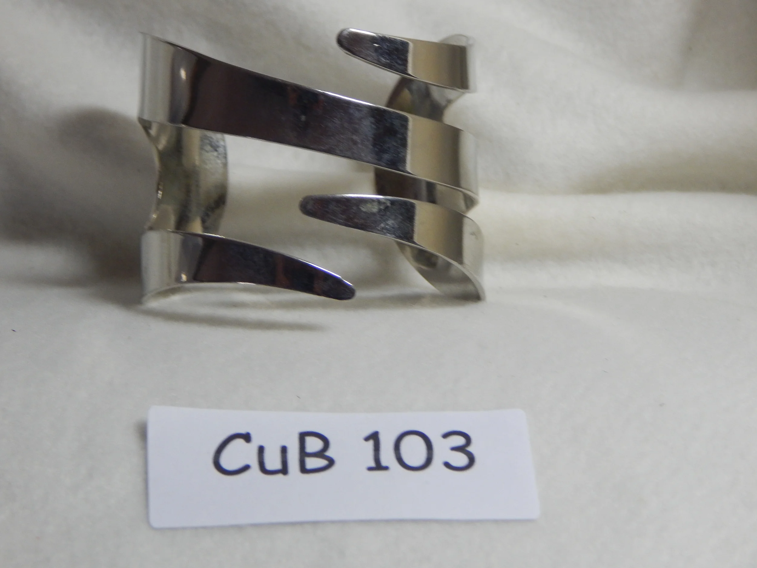 CUB103.JPG