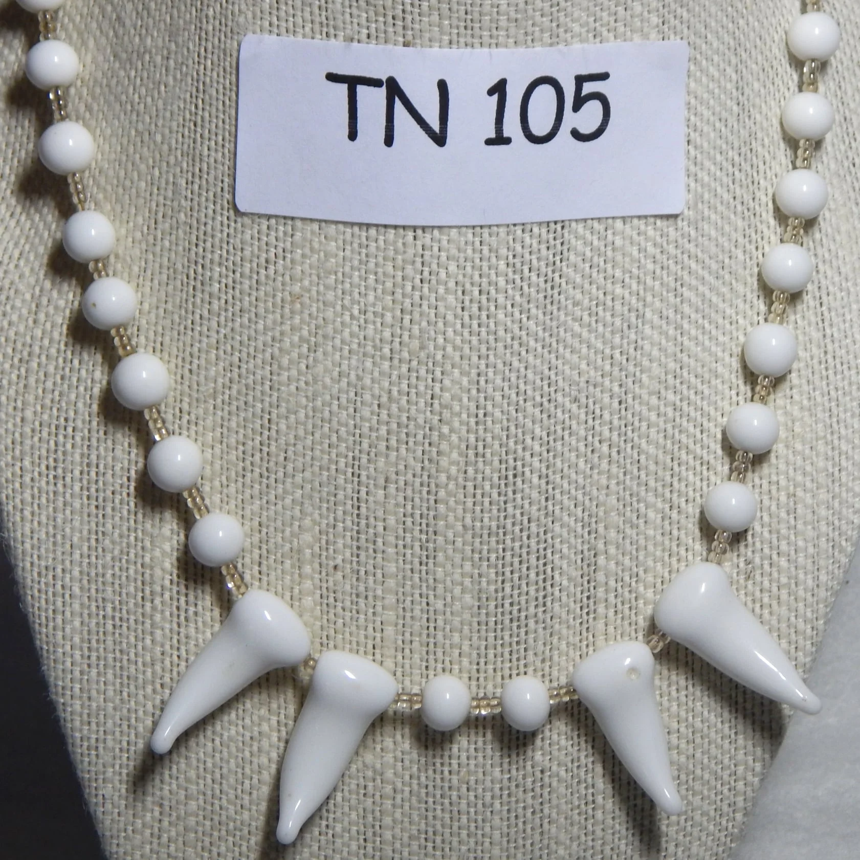 TN105.JPG