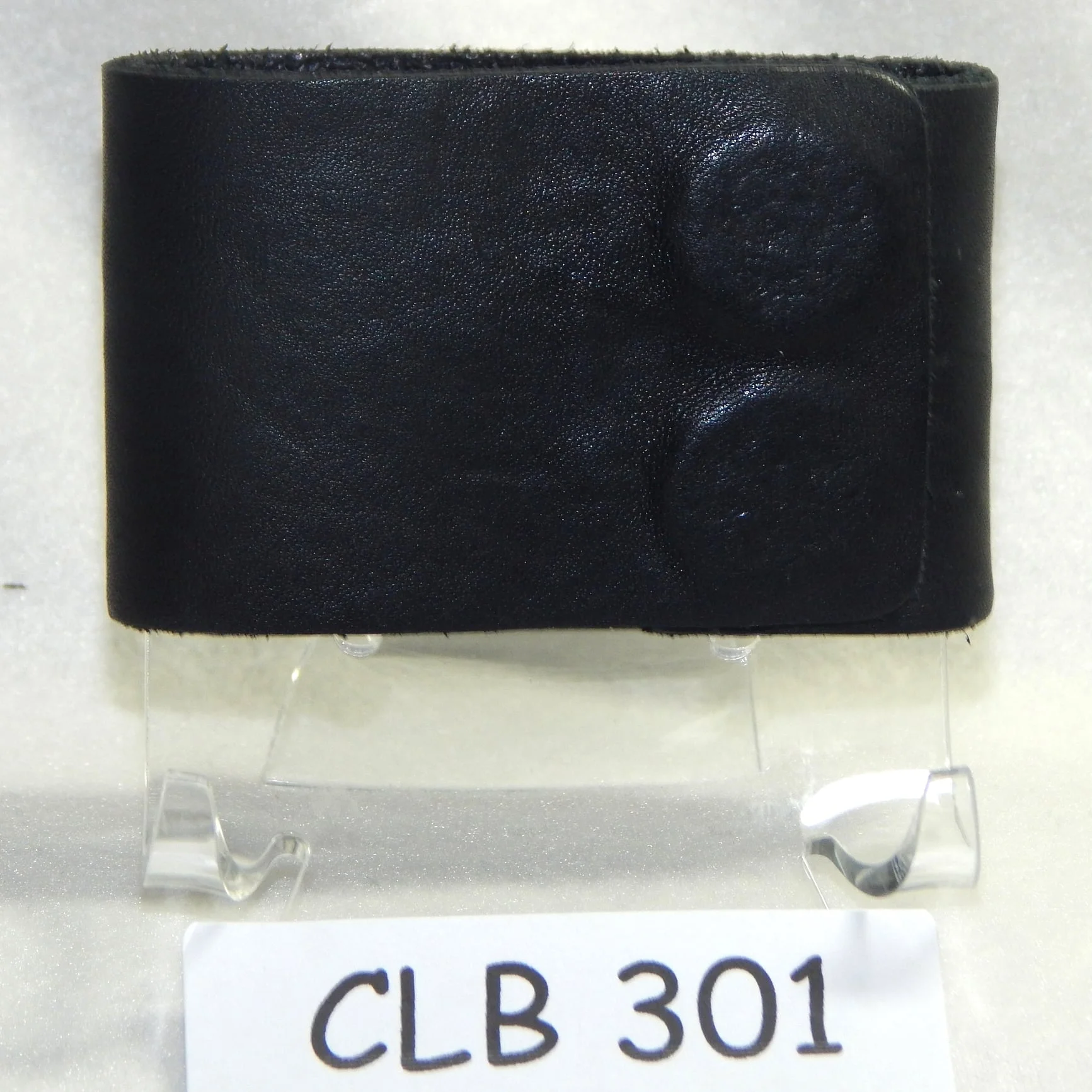 CLB301.JPG