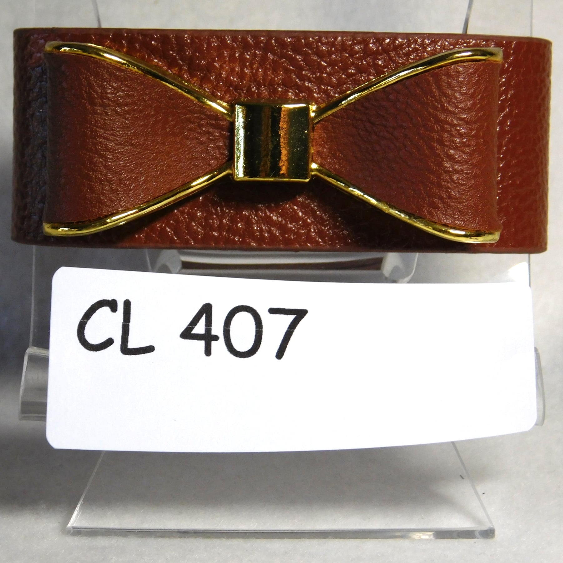 CL407.JPG