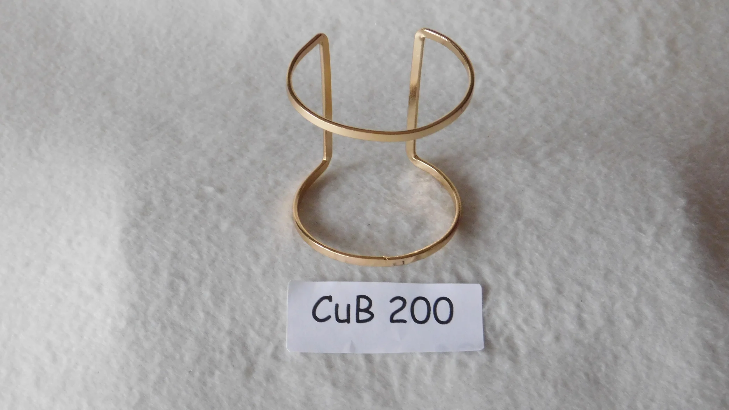 CUB200.JPG