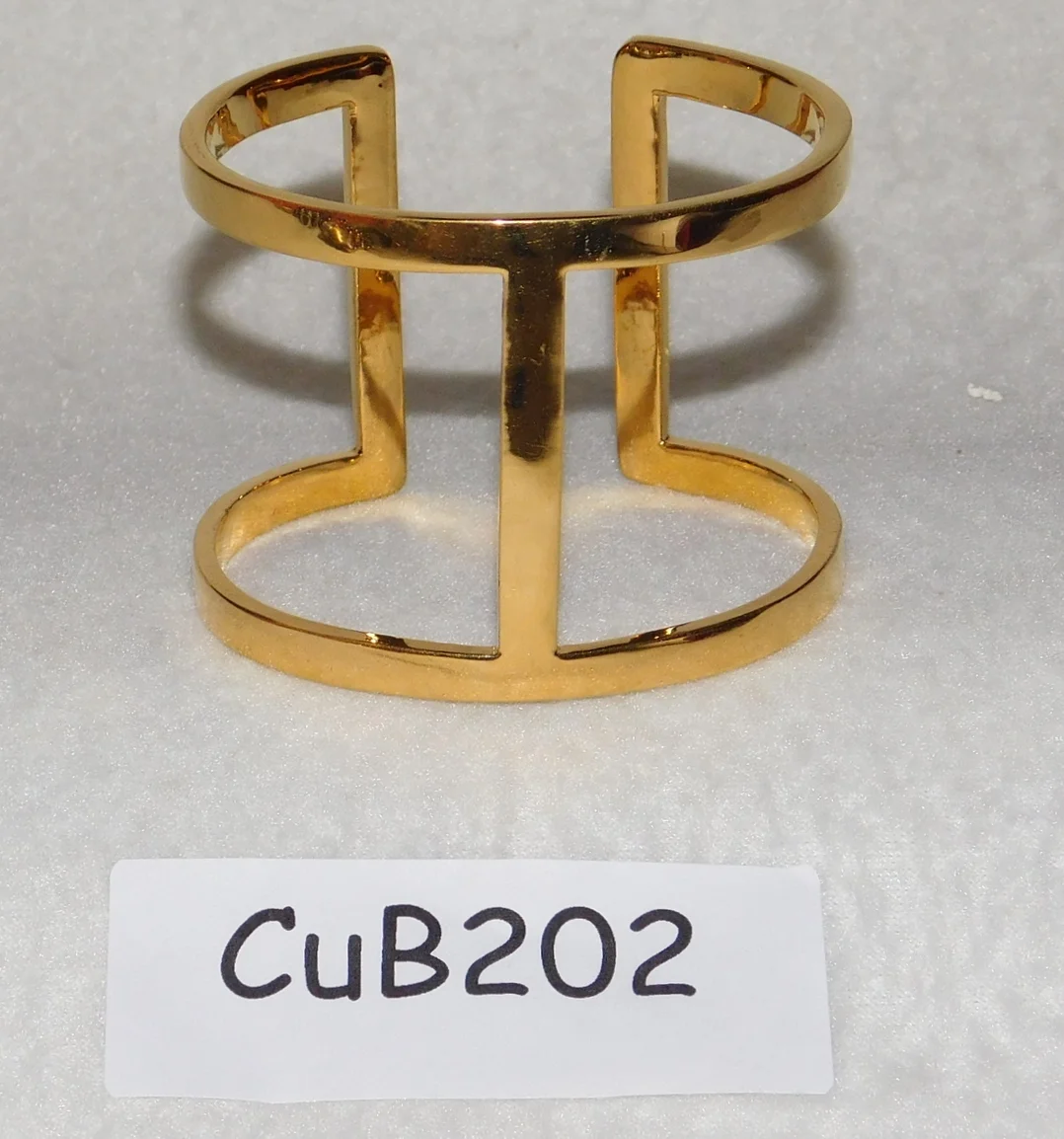 CUB202.JPG