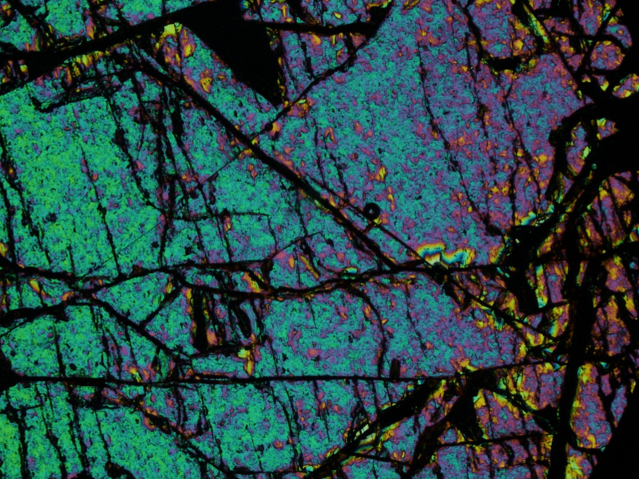 Beautiful olivine mineral under the microscope from a pallasite meteorite! Credit: Caitlin Ahrens.