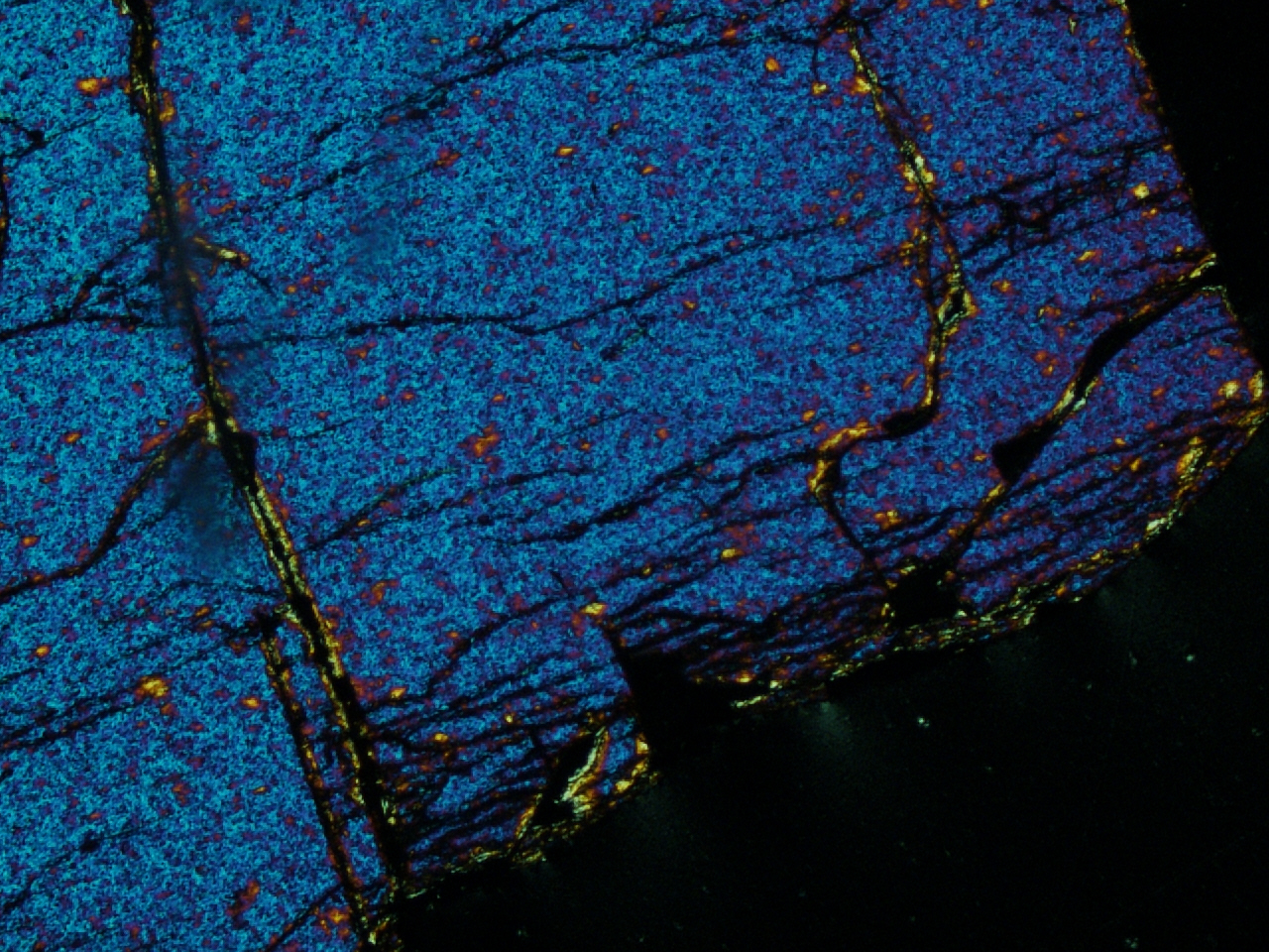 Another picture of a pallasite meteorite thin section! Look at those fractures!!! Credit: Caitlin Ahrens.